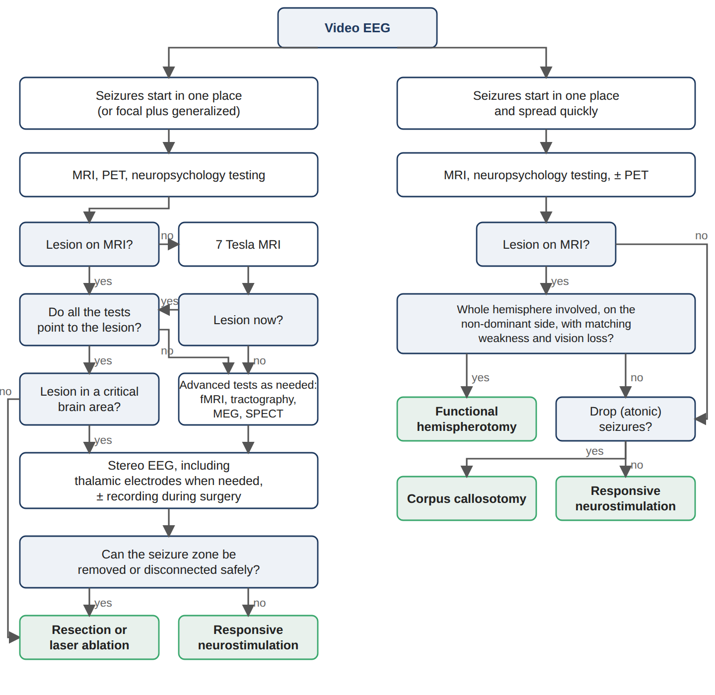 Decision workflow from first tests to a treatment plan