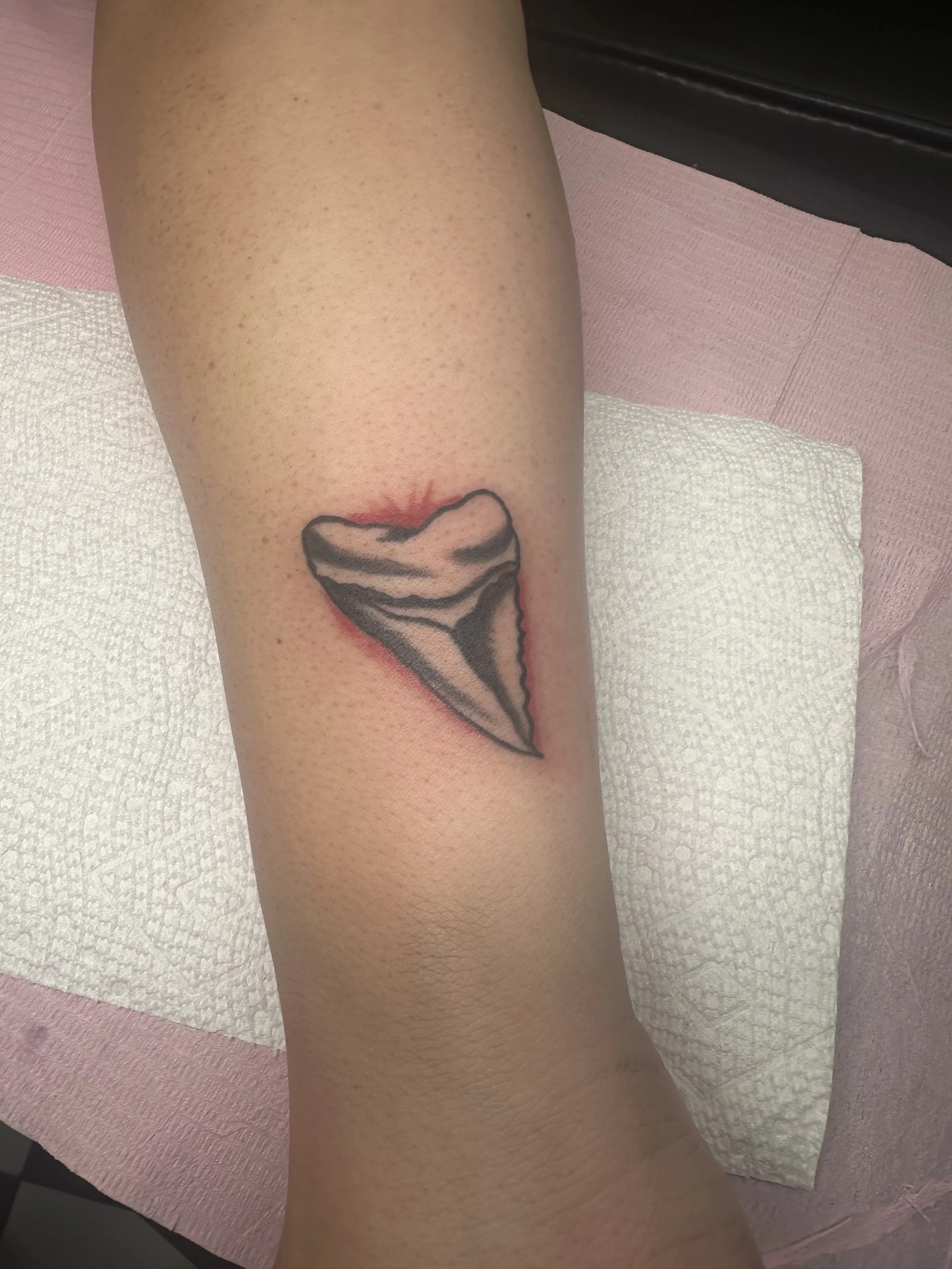 Black and grey forearm tattoo featuring a small traditional shark tooth with detailed shading and bold linework, custom tattoo by Dan at Big Kahuna Tattoo in Boca Raton, FL.