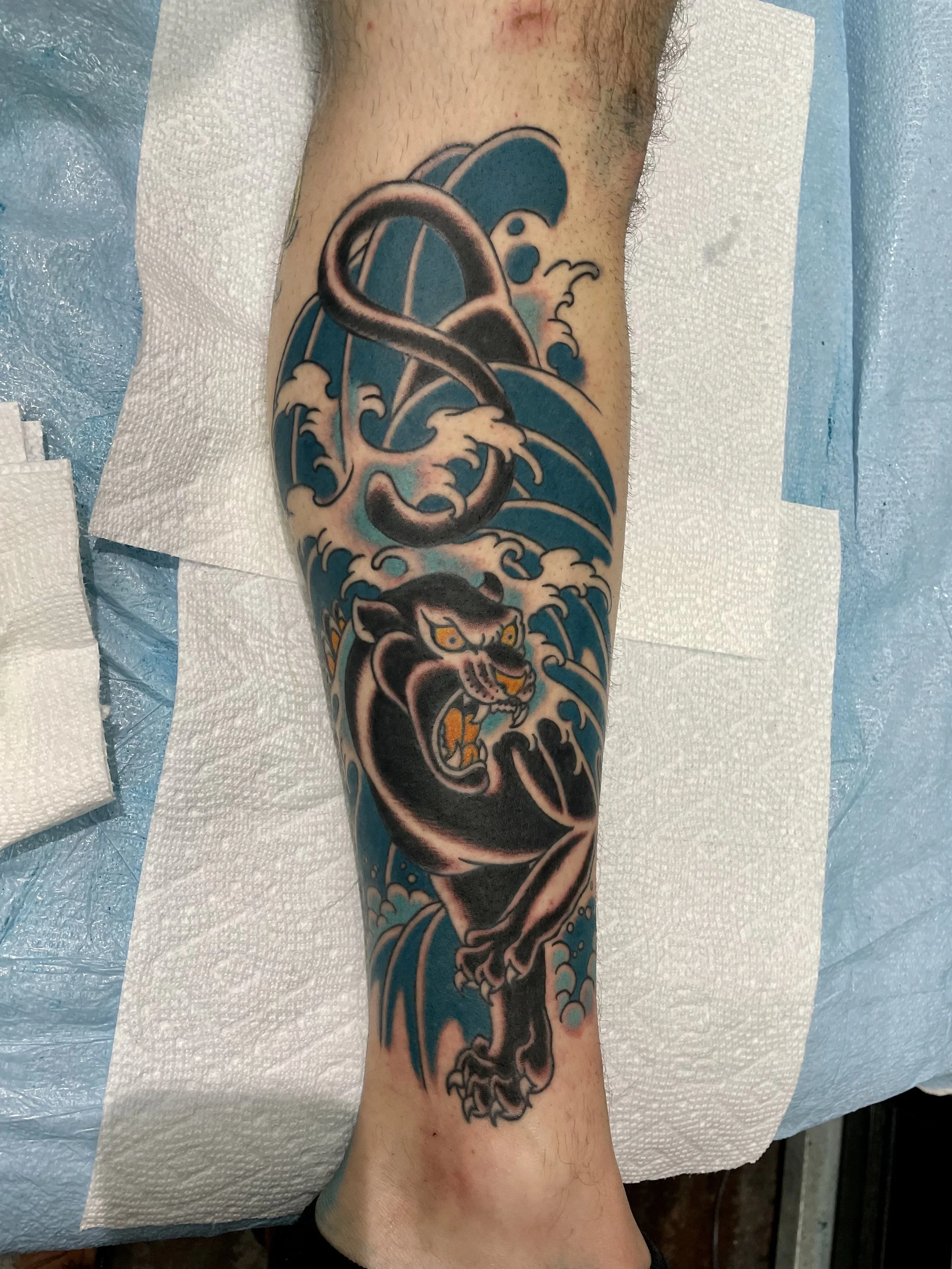 Traditional American color shin sleeve tattoo featuring a snarling black panther with yellow eyes crouching amid bold Japanese-style crashing blue waves, custom tattoo by Nick at Big Kahuna Tattoo in Boca Raton, FL.