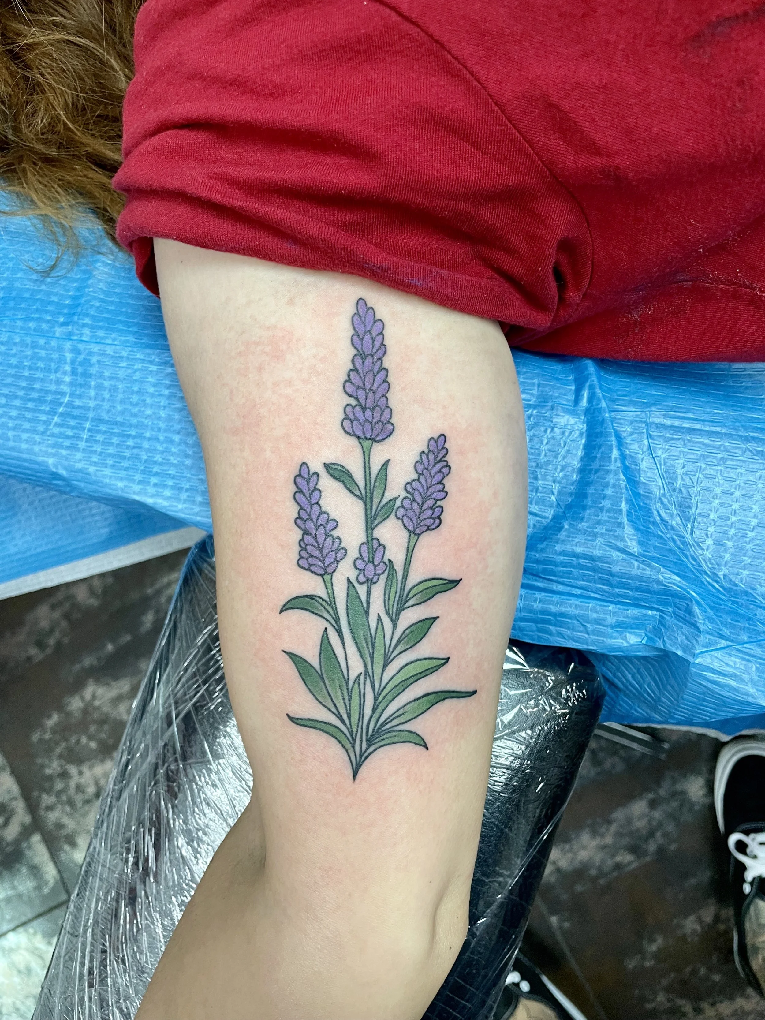Color arm tattoo featuring a beautifully detailed lavender plant with three tall purple flower spikes and abundant green leaves and stems, rendered in a precise botanical illustration style, custom tattoo by Nick at Big Kahuna Tattoo in Boca Raton, F