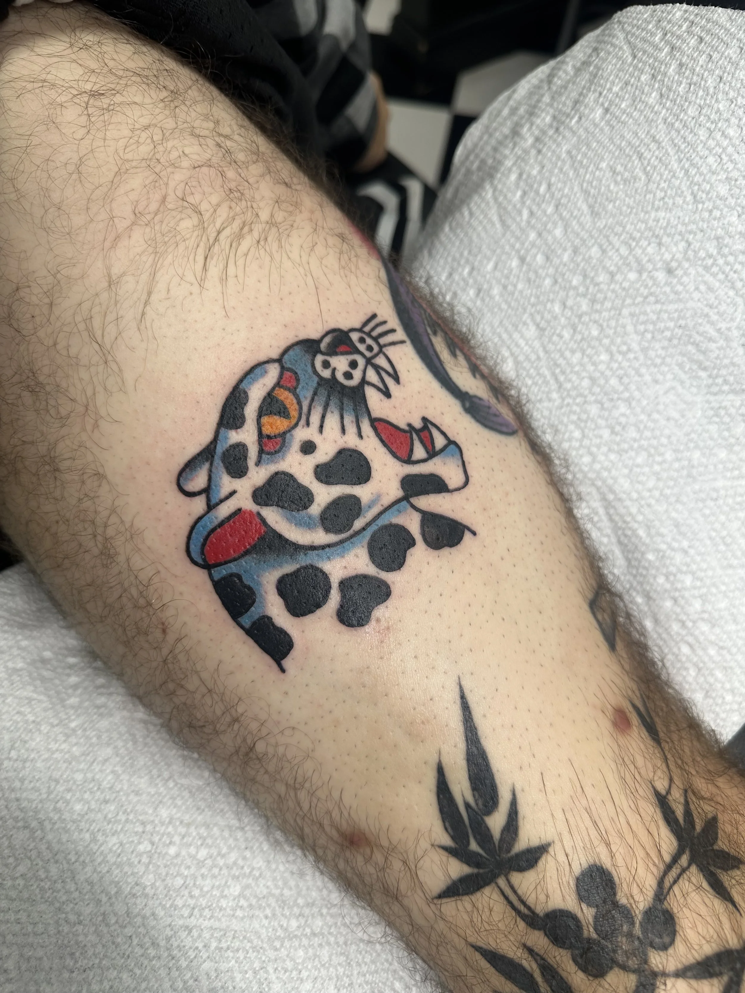 Traditional American color thigh tattoo featuring a quirky blue and white spotted jaguar with red accents and a yellow eye, custom tattoo by Dan at Big Kahuna Tattoo in Boca Raton, FL.