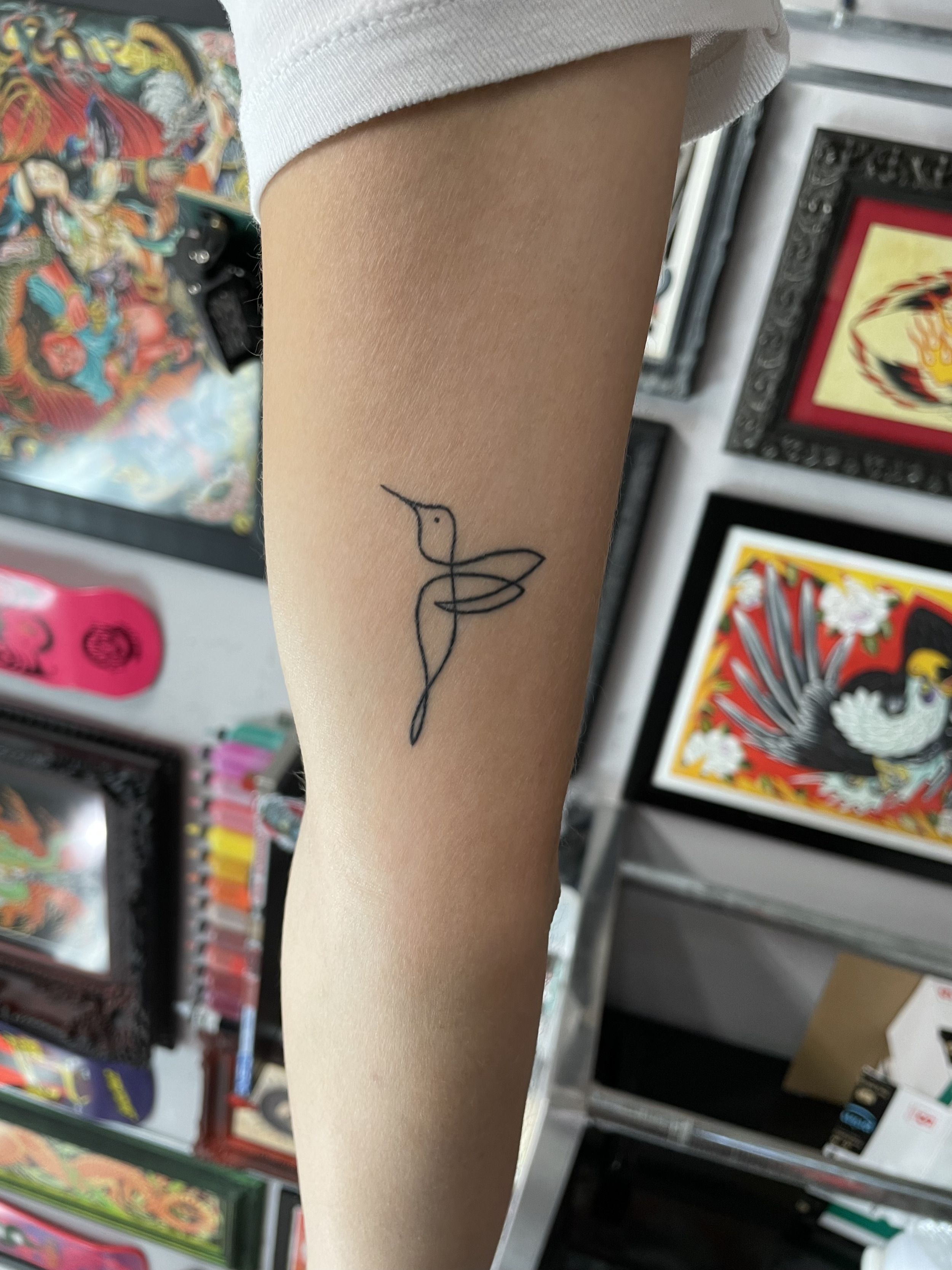 Elegant fine line single stroke hummingbird tattoo on the inner arm, created with continuous minimalist linework, custom tattoo by Nick at Big Kahuna Tattoo in Boca Raton, FL.