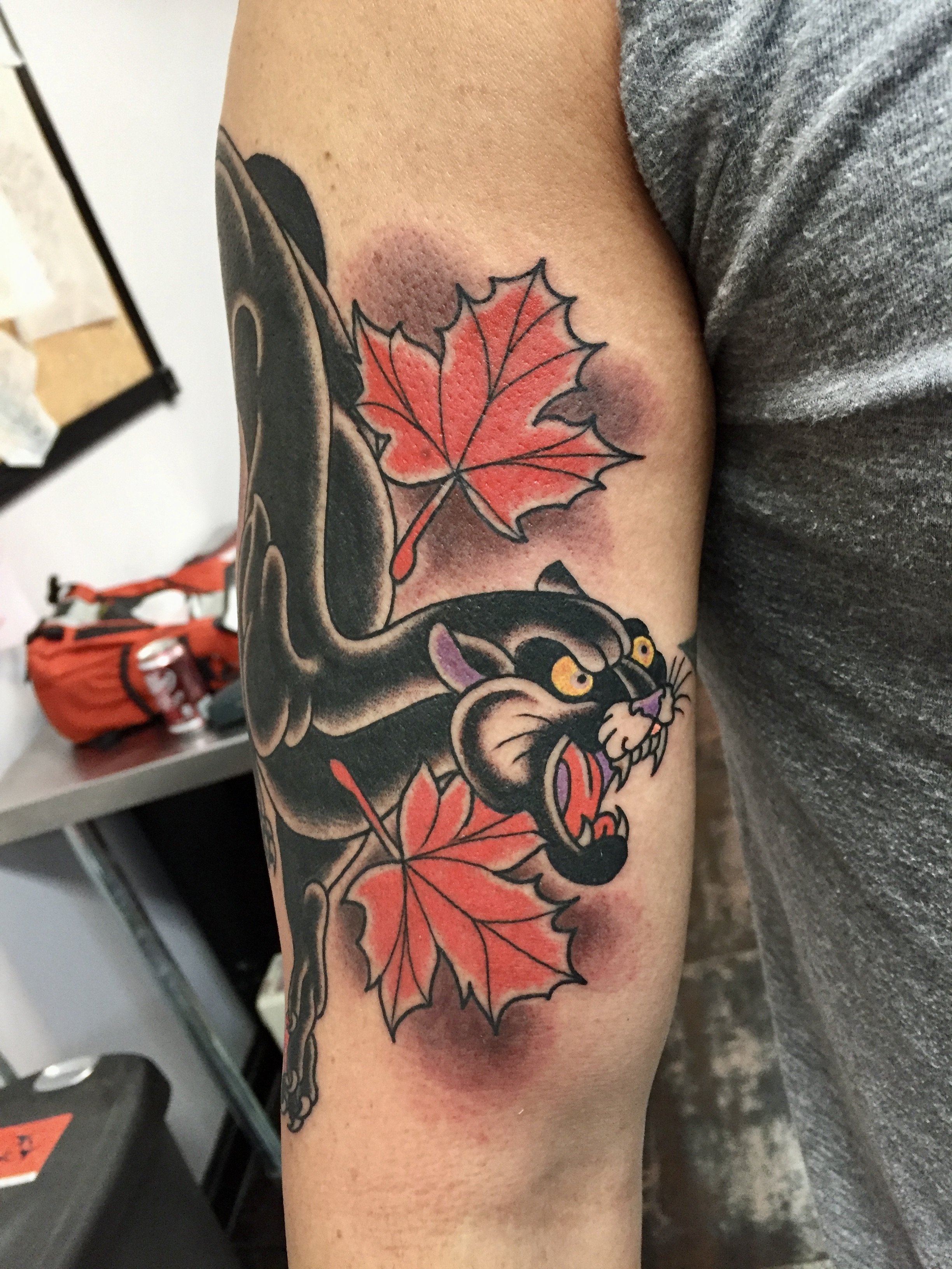Traditional American color tattoo featuring a snarling black panther with bold yellow eyes wrapped around red maple leaves, tattooed on the elbow and forearm by Nick at Big Kahuna Tattoo in Boca Raton, FL.