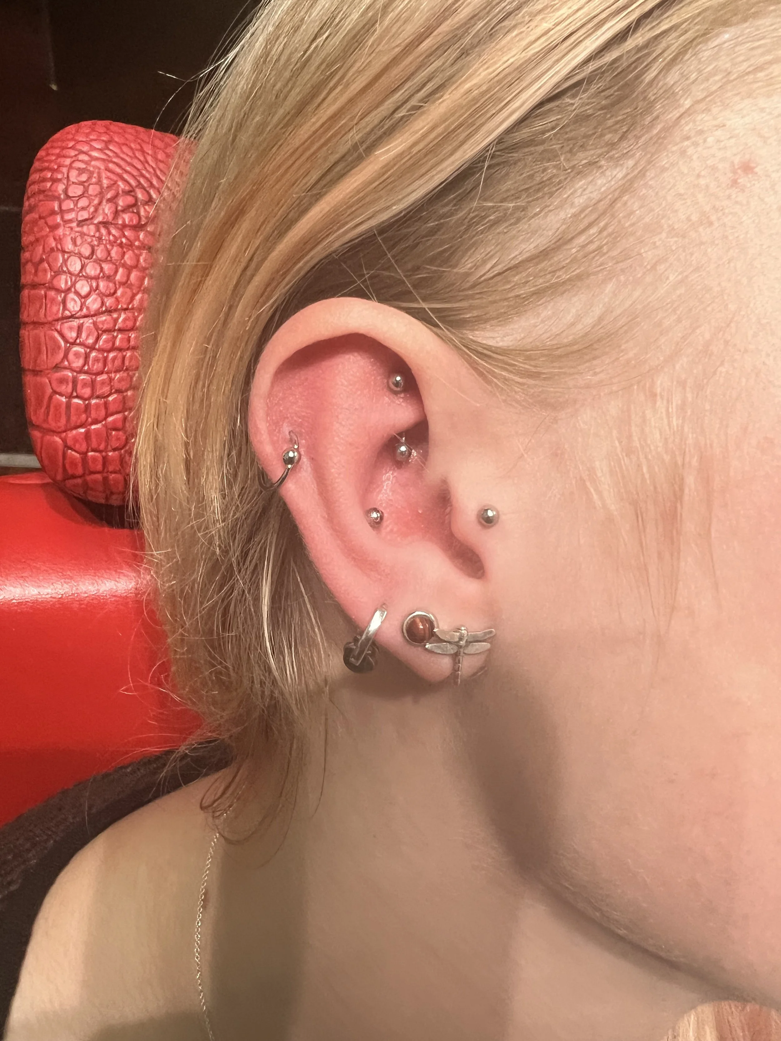 Curated ear featuring daith, tragus, and helix piercings with silver hardware, accented by a silver dragonfly charm dangle on the lobe. Done at Big Kahuna Tattoo in Boca Raton.