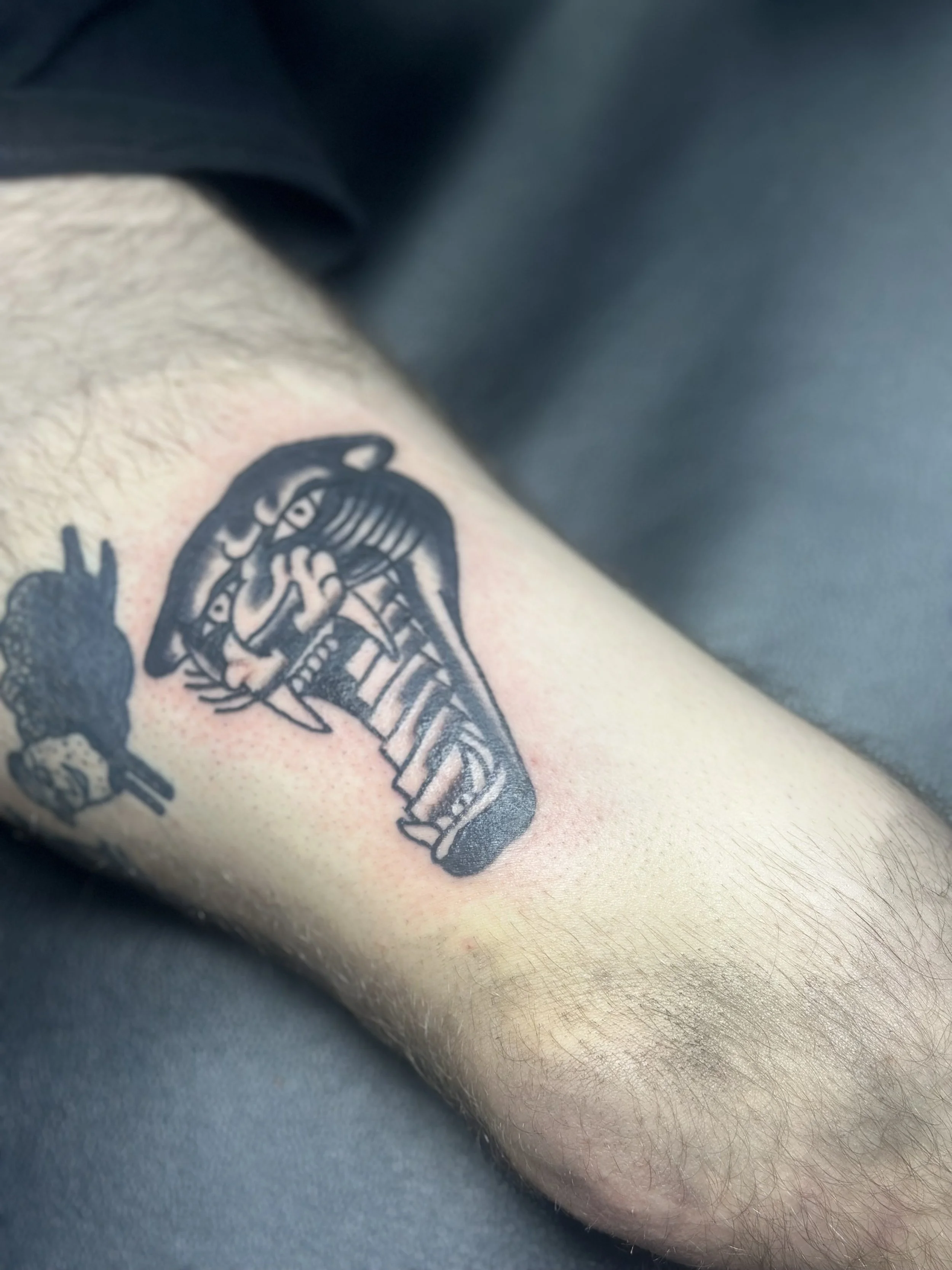 Traditional American black and grey forearm tattoo featuring a bold panther head with a stairway to heaven inside its open mouth, with strong linework and deep shading, custom tattoo by Dan at Big Kahuna Tattoo in Boca Raton, FL.