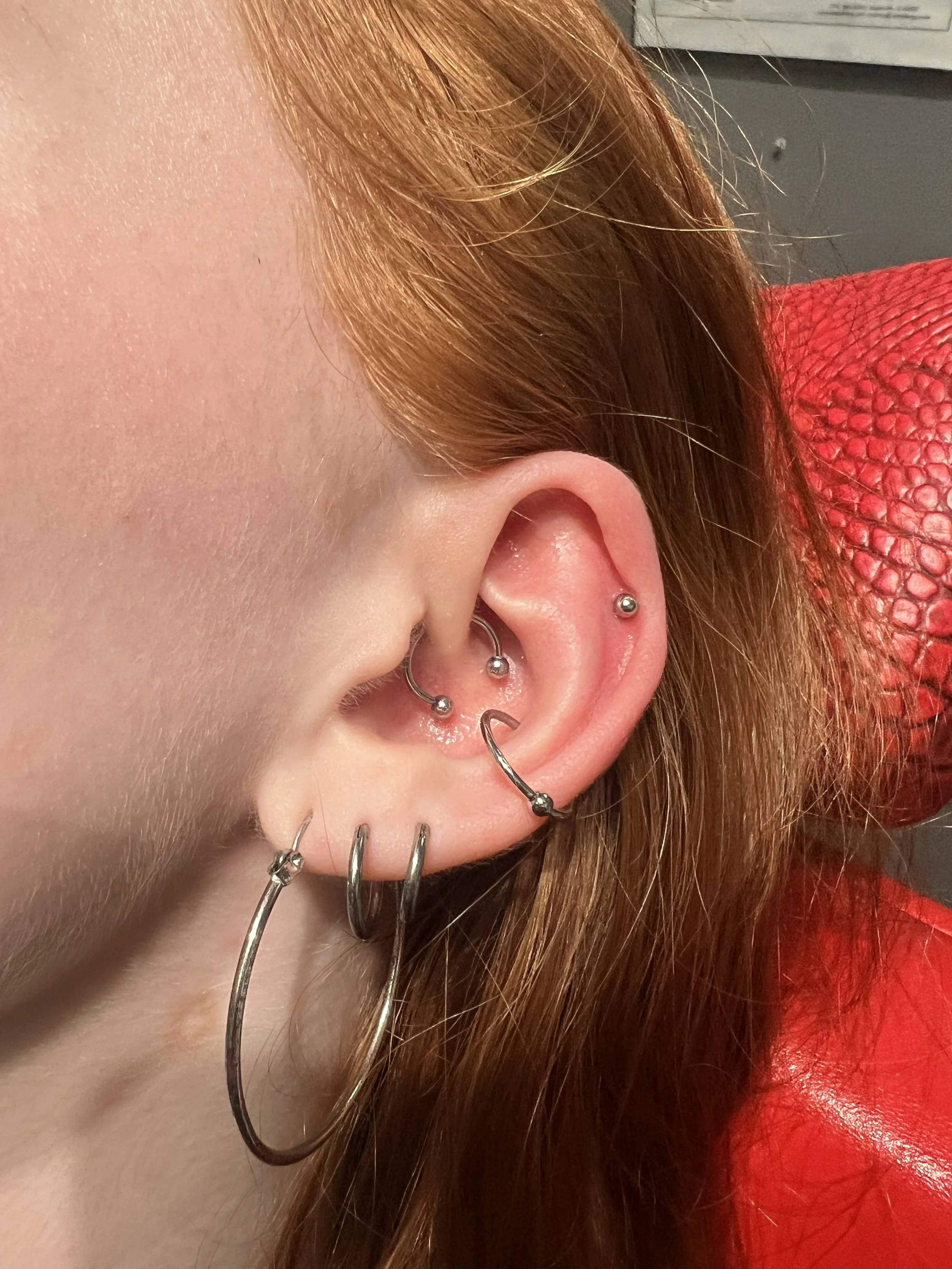 Professional ear piercing by Big Kahuna Tattoo in Boca Raton, Florida