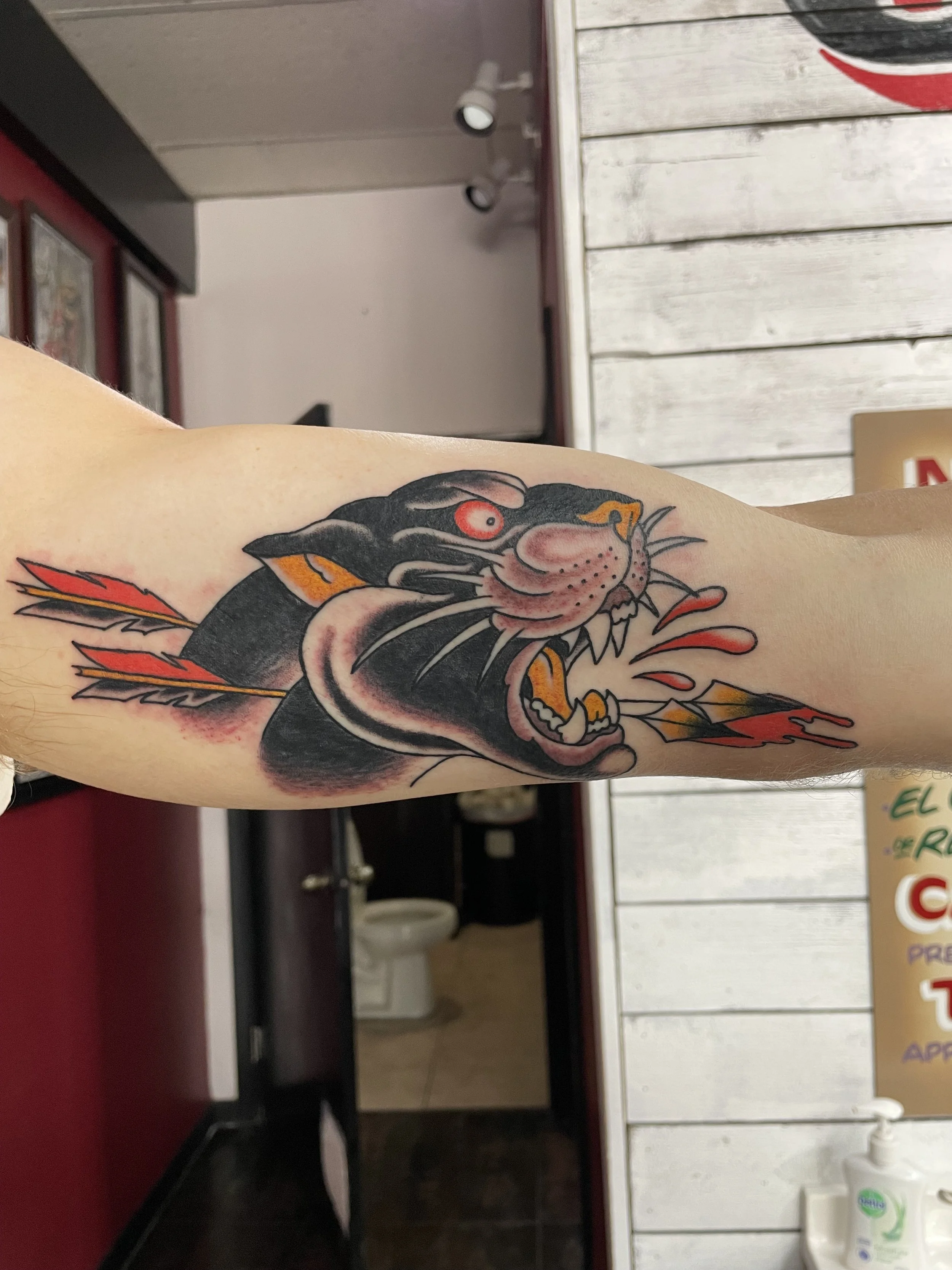 Traditional American color forearm tattoo featuring a snarling black panther head pierced through by a red and gold arrow with bold color accents, custom tattoo by Nick at Big Kahuna Tattoo in Boca Raton, FL.