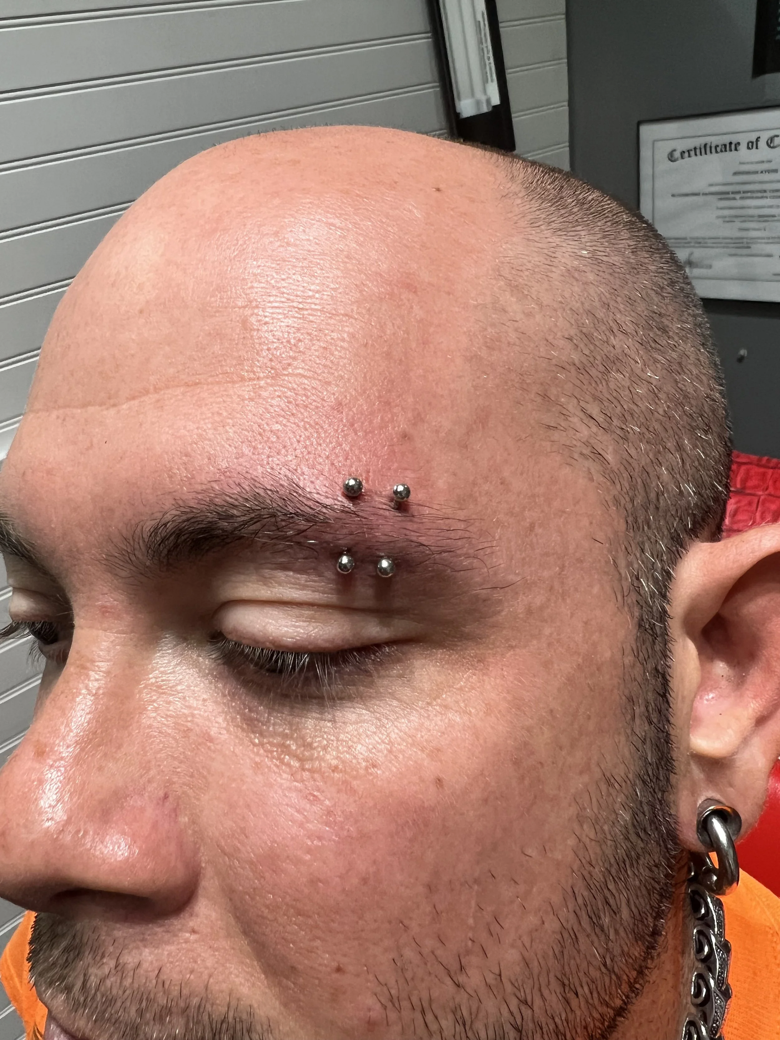 Double eyebrow surface piercing with four point placement using steel surface bars. Two above and two below the brow line. Advanced surface work done at Big Kahuna Tattoo in Boca Raton.