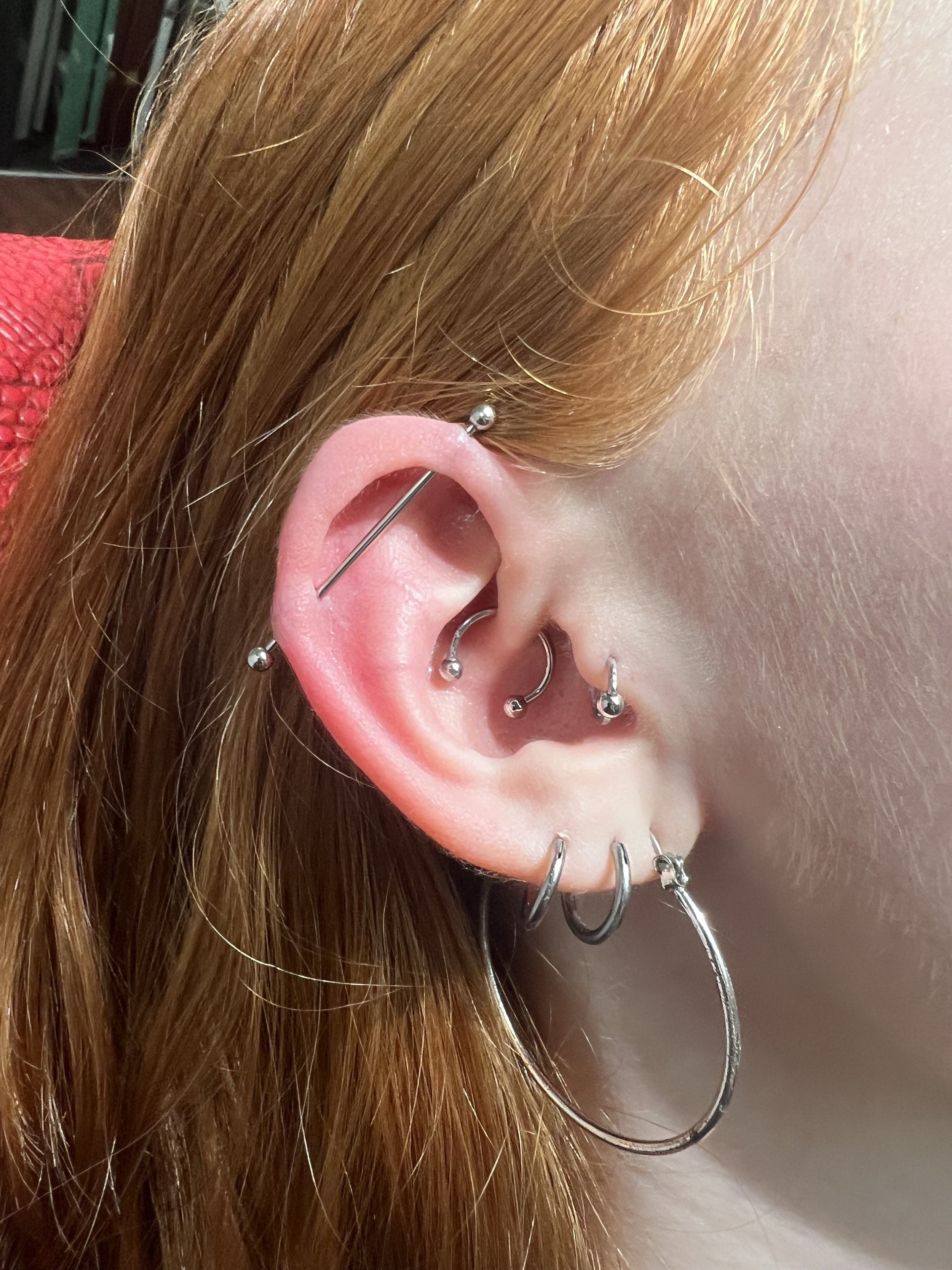 Fully loaded ear featuring a silver industrial barbell, daith hoop, conch hoop, helix stud, and multiple silver lobe hoops including an oversized hoop. Heavy silver stacking done at Big Kahuna Tattoo in Boca Raton.