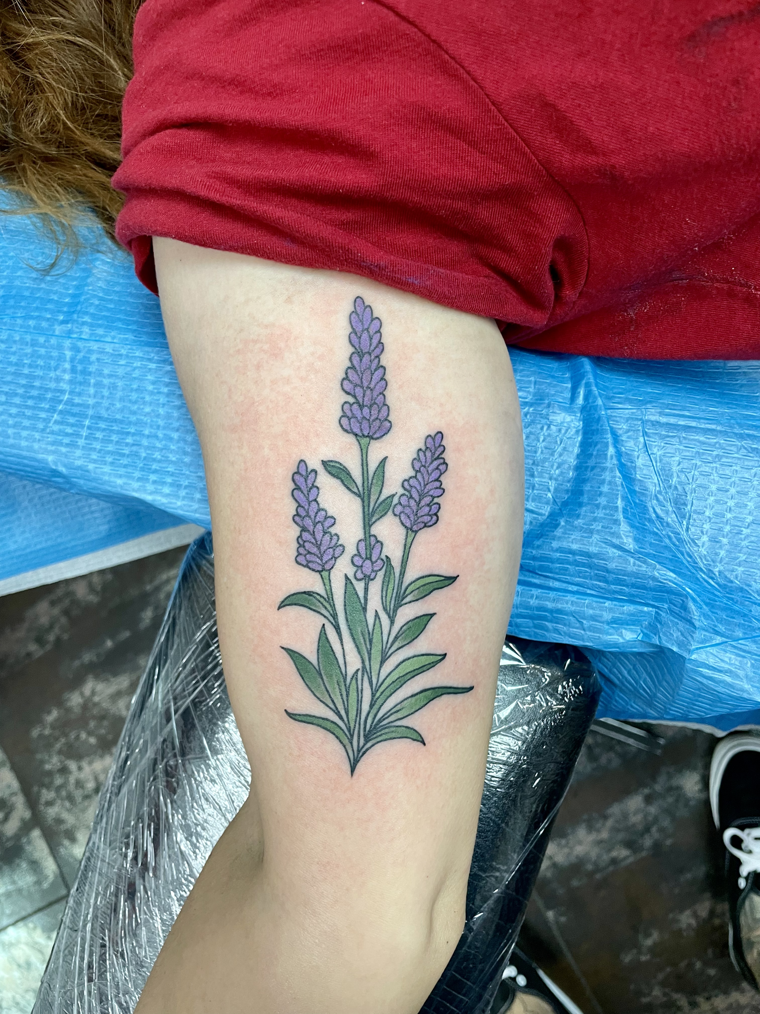 Detailed color upper arm tattoo featuring a botanical lavender sprig with purple blooms and green leaves, custom tattoo by Nick at Big Kahuna Tattoo in Boca Raton, FL.