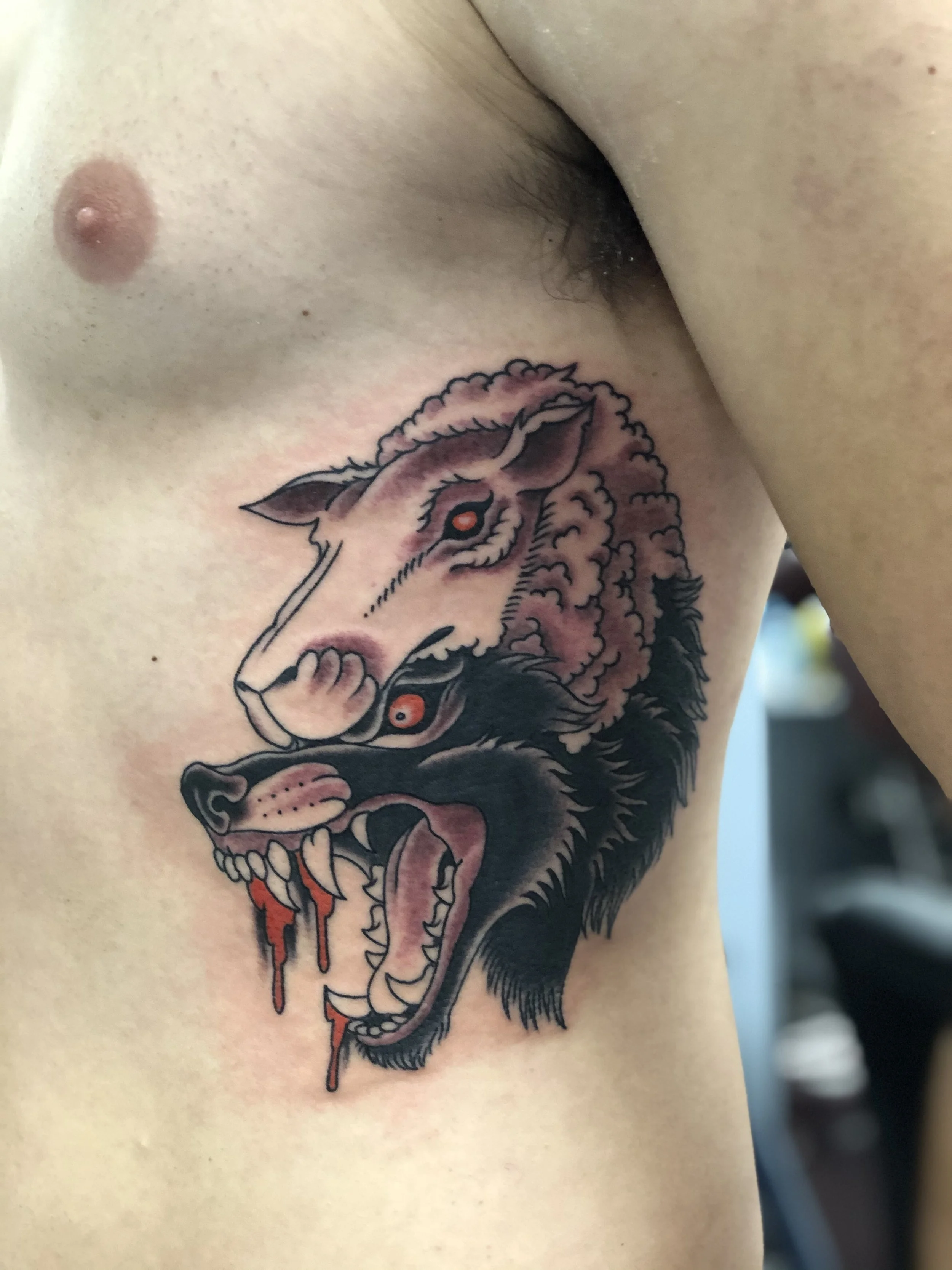 Traditional American color rib tattoo featuring a snarling wolf emerging from beneath a sheep's face, a bold wolf in sheep's clothing design, custom tattoo by Nick at Big Kahuna Tattoo in Boca Raton, FL.