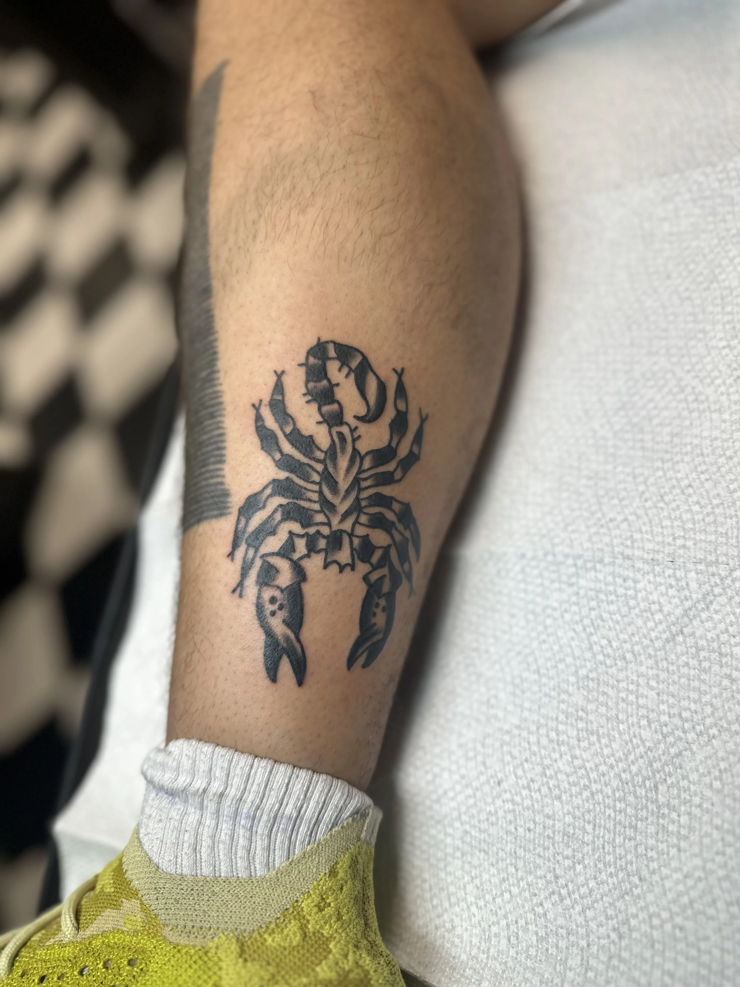 Traditional American black and grey forearm tattoo featuring a bold scorpion in a front-facing stance with heavy black shading and strong linework, custom tattoo by Dan at Big Kahuna Tattoo in Boca Raton, FL.