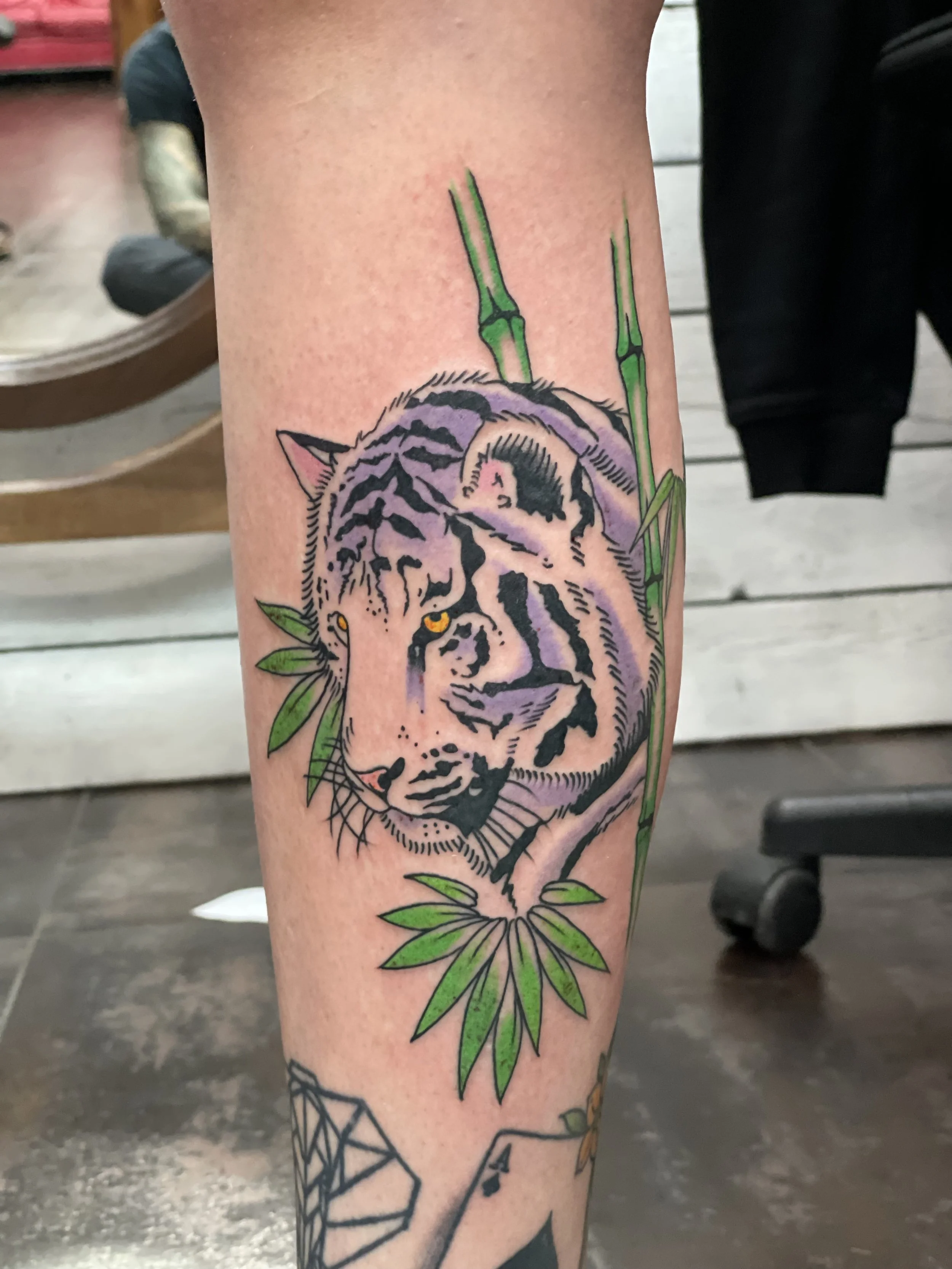 Fine line japanese-style color shin tattoo featuring a white tiger with lavender shading and a golden eye, gazing through lush green bamboo stalks and leaves, custom tattoo by Nick at Big Kahuna Tattoo in Boca Raton, FL.