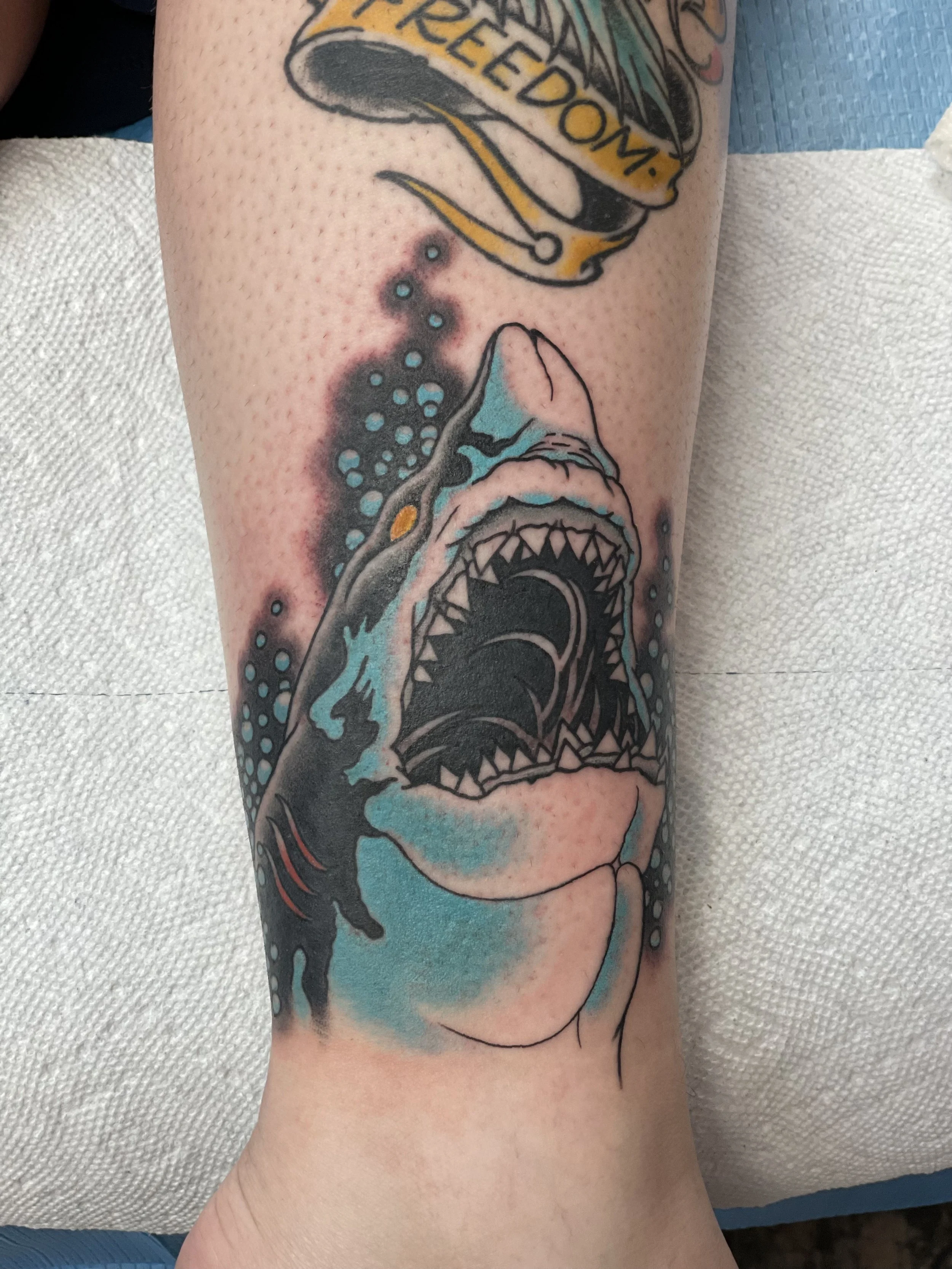 Wide open jaws, rows of jagged teeth, and a cold blue body lunging up the leg. A Florida appropriate traditional tattoo that looks right at home on someone who grew up near the water. Color shin tattoo by Nick at Big Kahuna Tattoo in Boca Raton, FL.