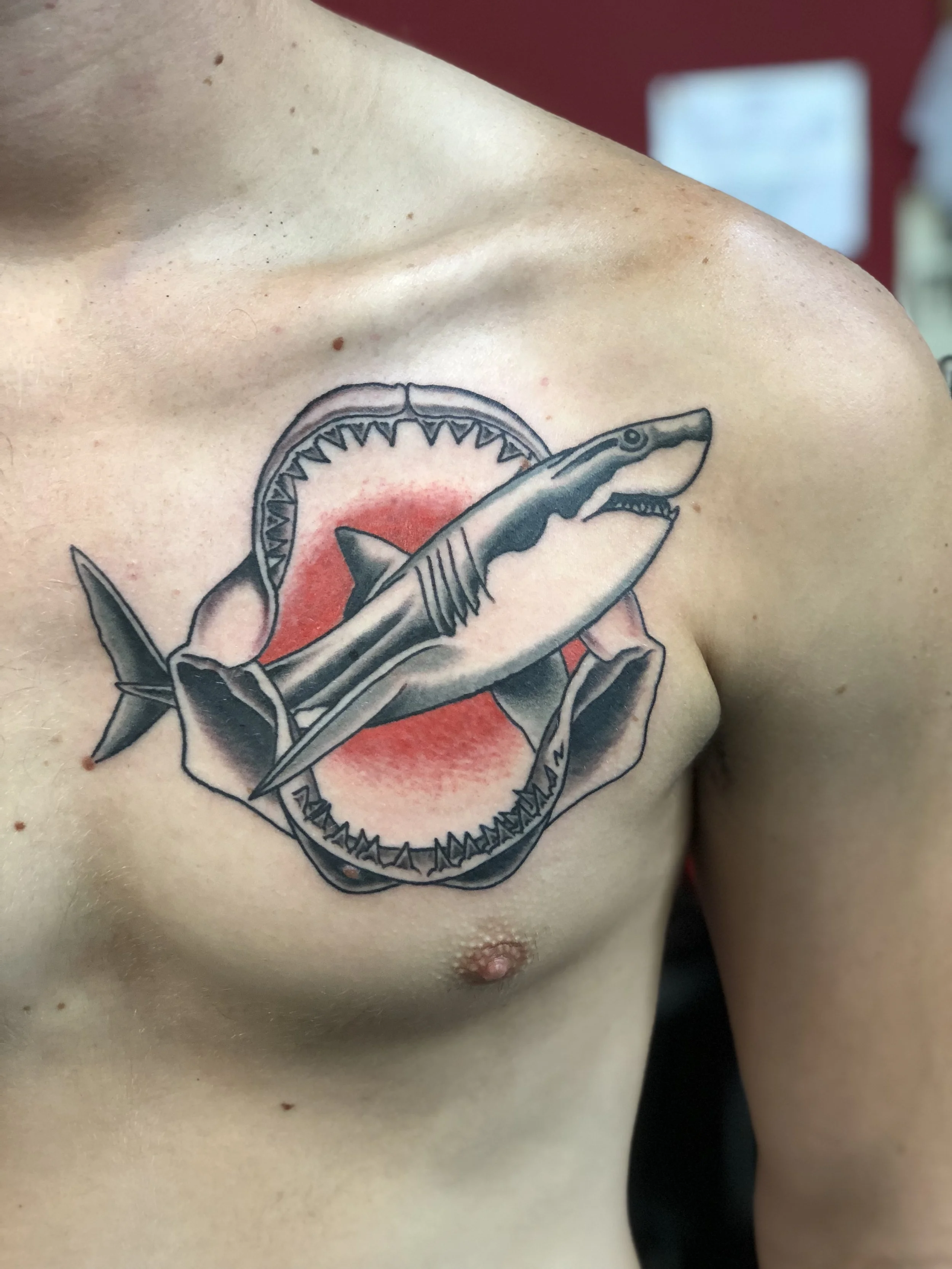 Traditional American style chest tattoo featuring a shark swimming through an open jaw with bold black linework and a red circular background. Custom tattoo by Nick at Big Kahuna Tattoo in Boca Raton, FL.