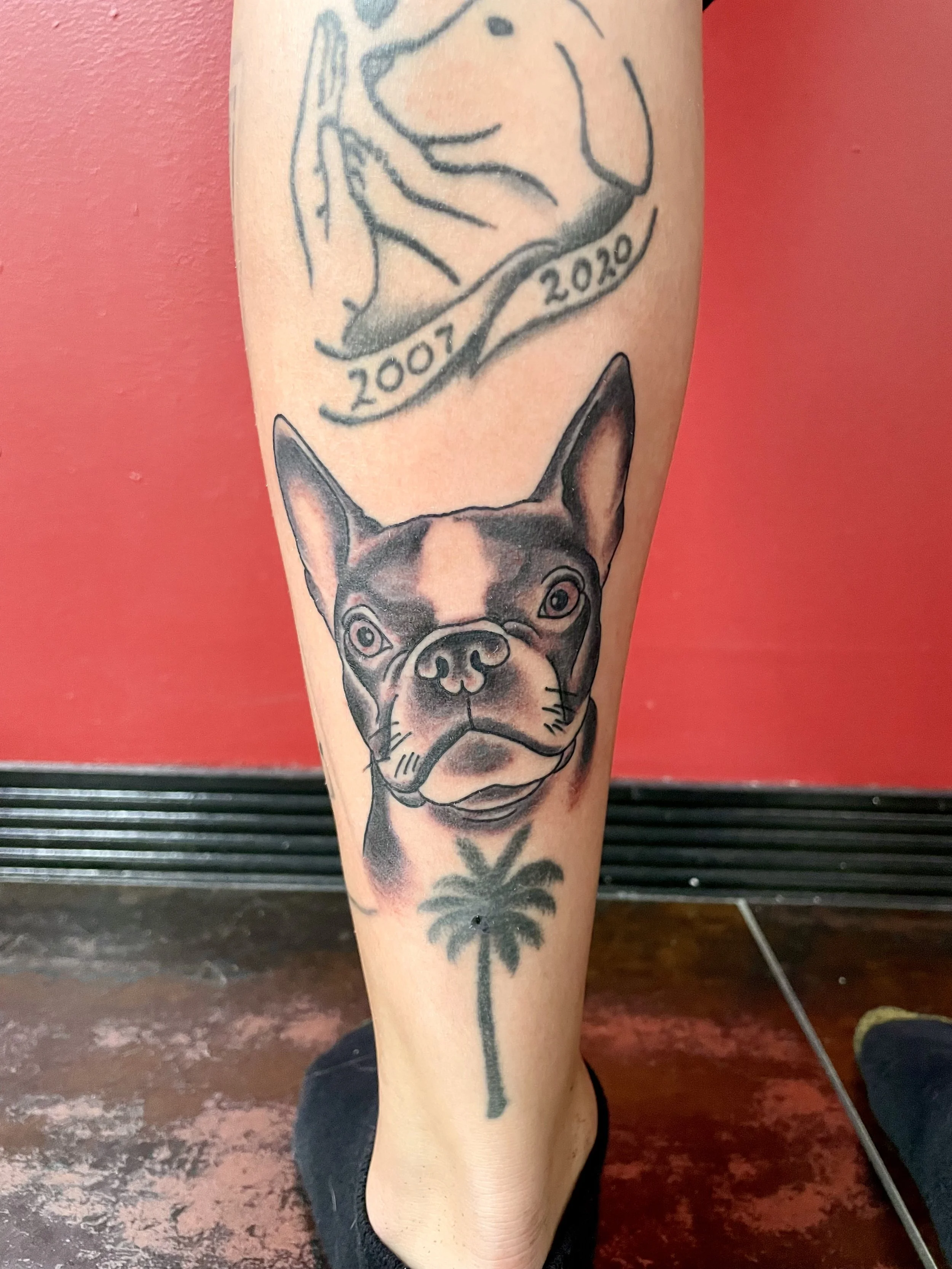 Anyone who's lost a dog knows there's no replacing them. This expressive Boston Terrier portrait with a small palm tree below sits beneath an existing memorial piece dated 2007–2020, a tribute that says everything without needing words. Black and gre