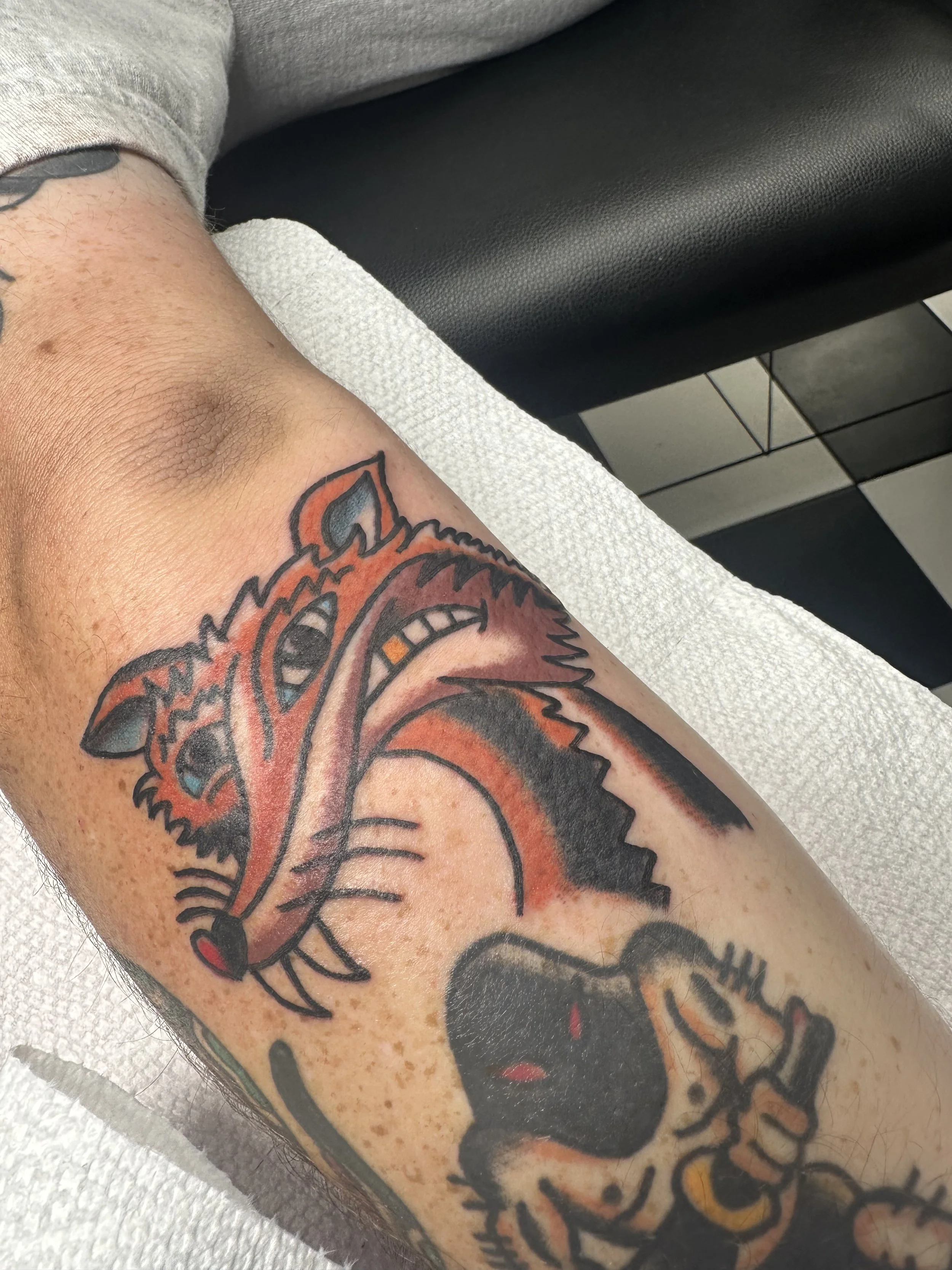 Traditional American color forearm tattoo featuring a snarling fox head with bold orange and black linework, a classic flash design originally painted by Stoney St. Claire, custom tattoo by Dan at Big Kahuna Tattoo in Boca Raton, FL.