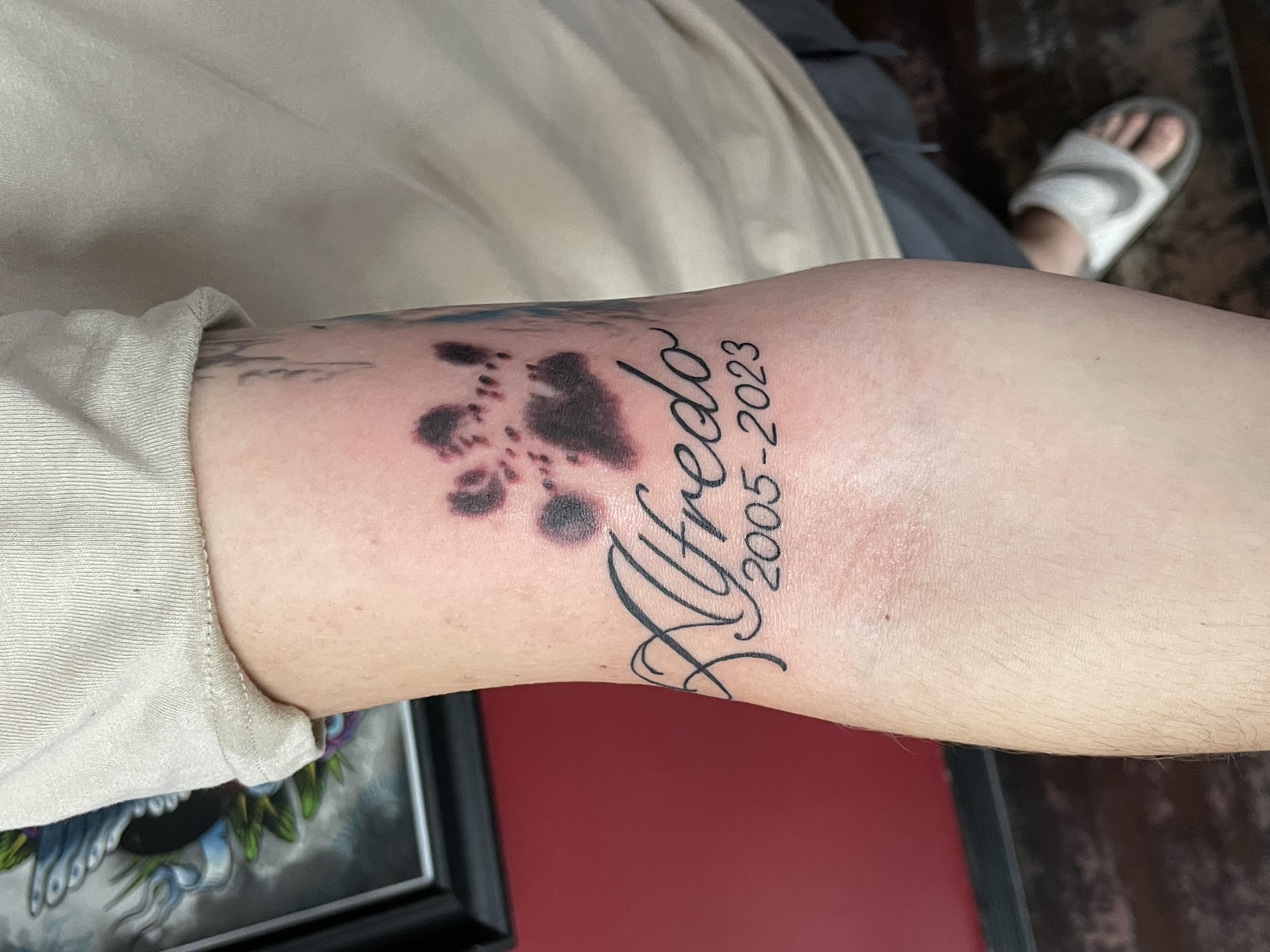 Heartfelt pet memorial forearm tattoo featuring actual paw print impressions of a beloved dog above the name "Alfredo" with the dates 2005-2023 in elegant cursive script, custom tattoo by Nick at Big Kahuna Tattoo in Boca Raton, FL.