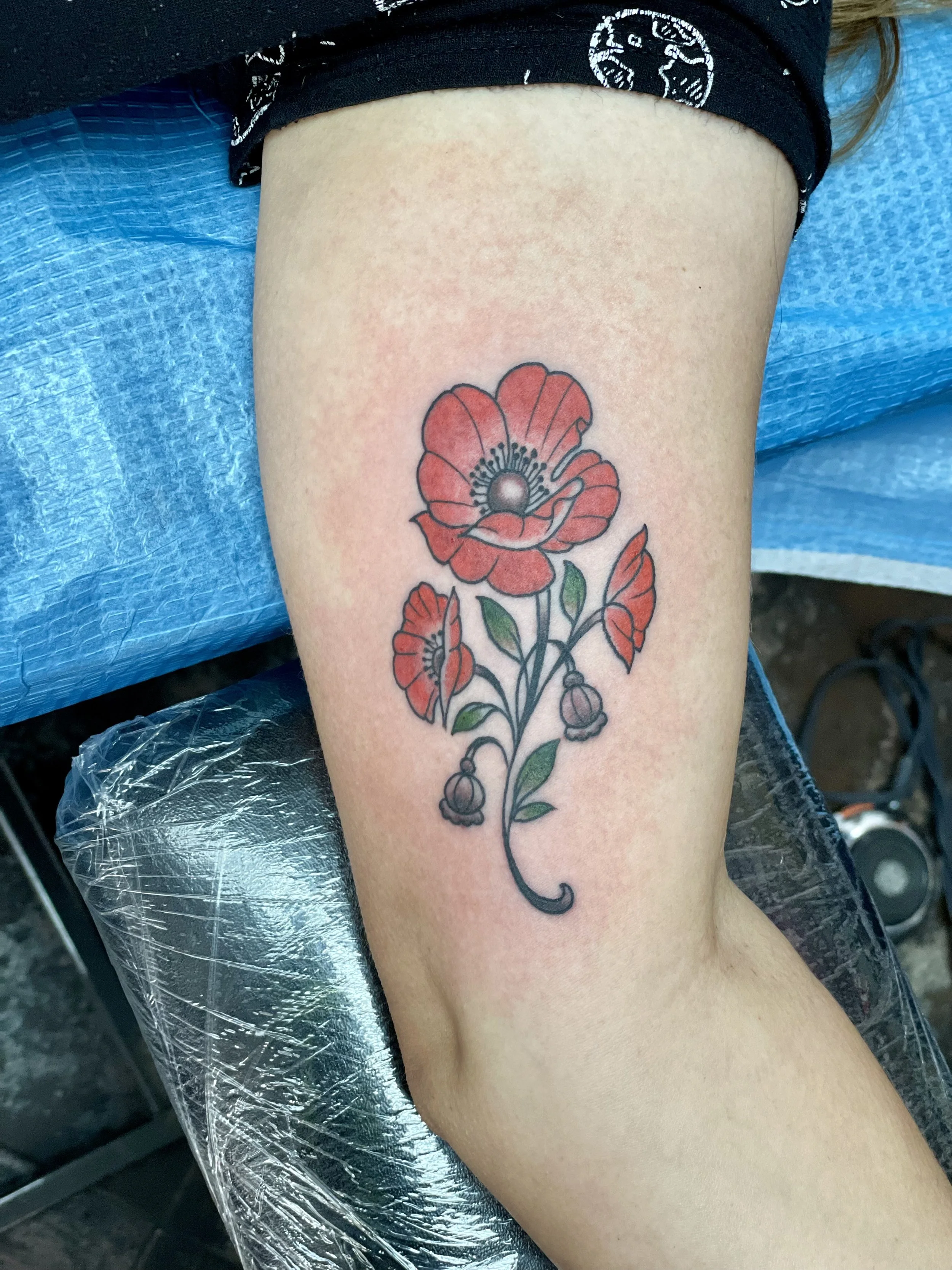 Color inner bicep tattoo featuring a red poppy in full bloom at the top with smaller poppy buds, scattered petals, green leaves, and hanging seed pods flowing down along a curling stem, custom tattoo by Nick at Big Kahuna Tattoo in Boca Raton, FL.