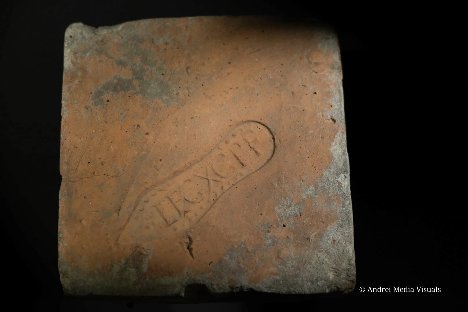 sample product 1 (54).jpg