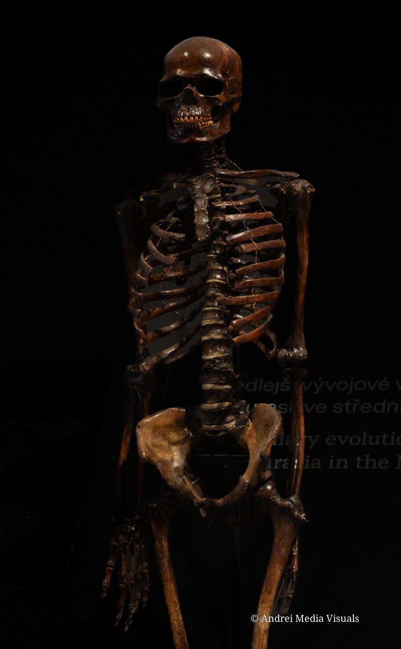 sample product 1 (65).jpg