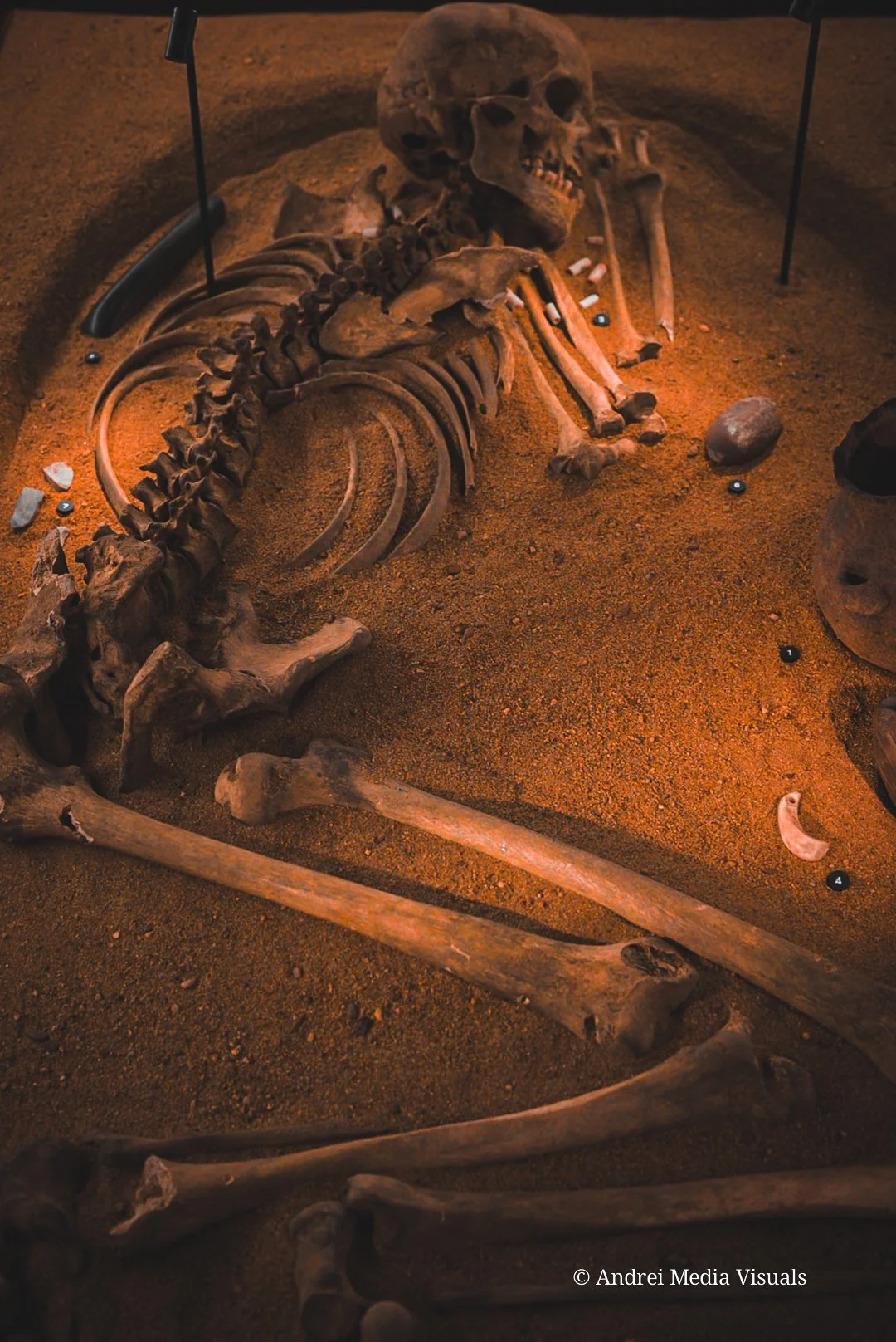 sample product 1 (66).jpg