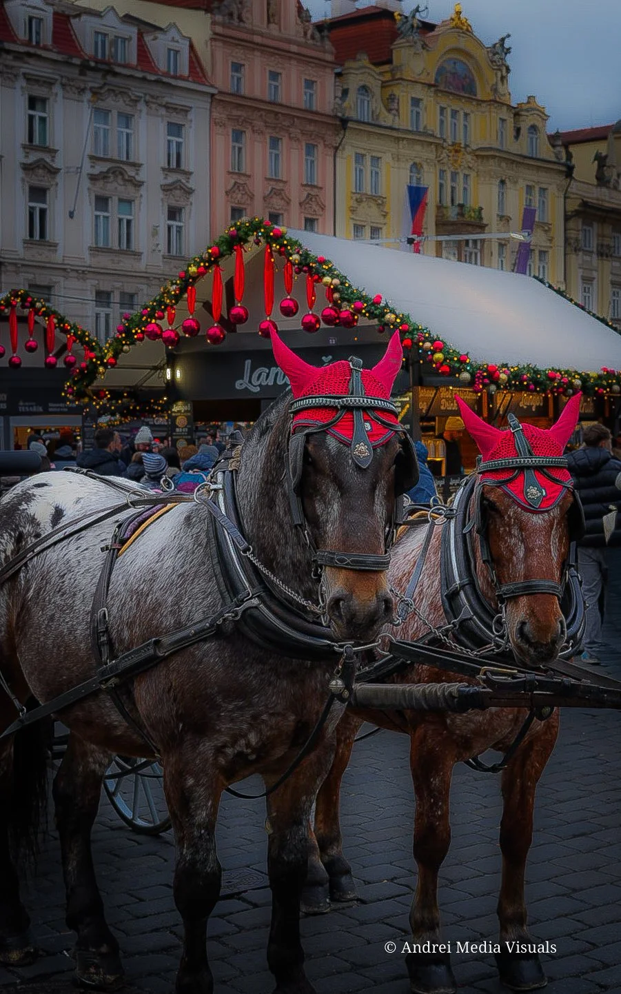 sample product 1 (68).jpg