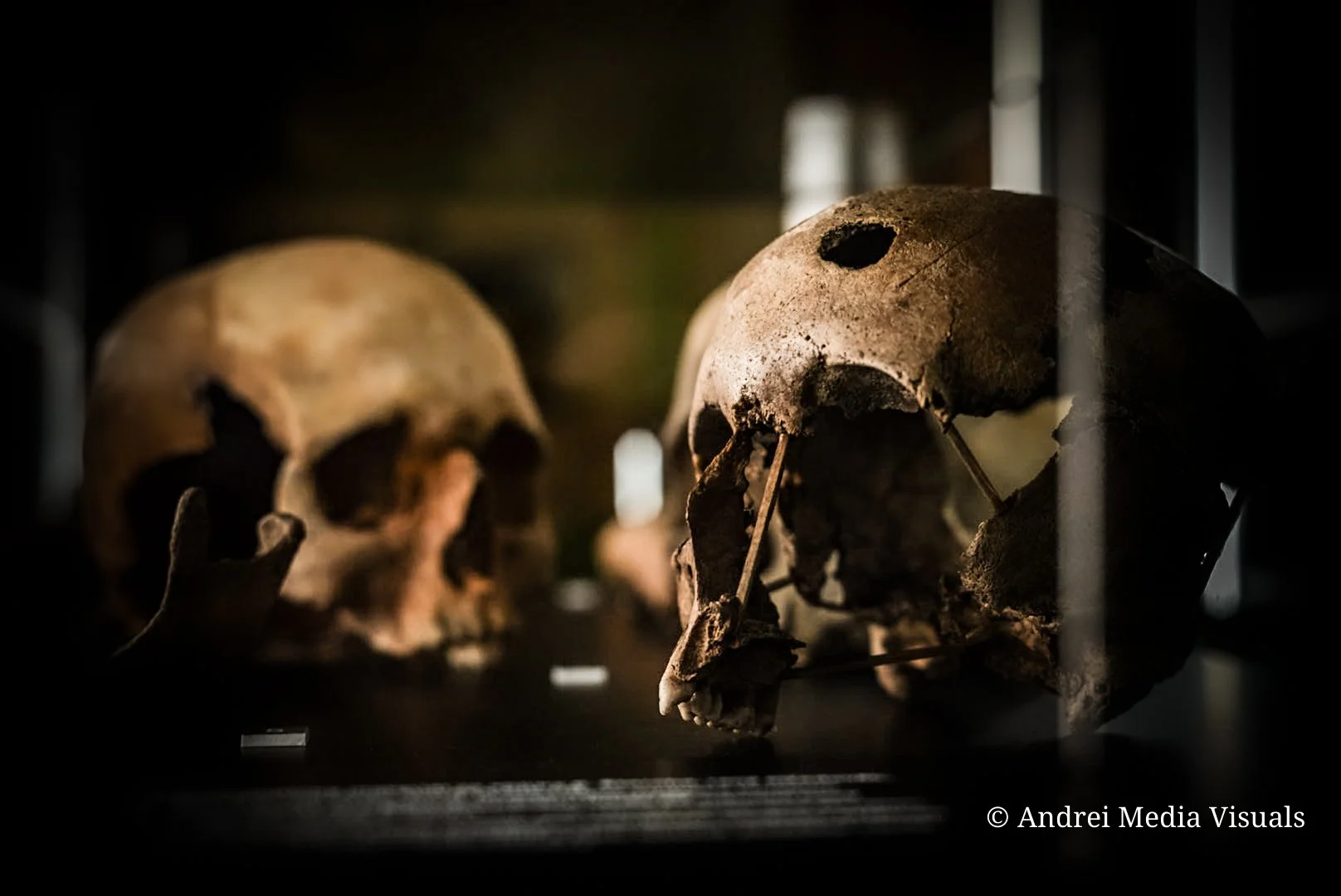 sample product 1 (52).jpg