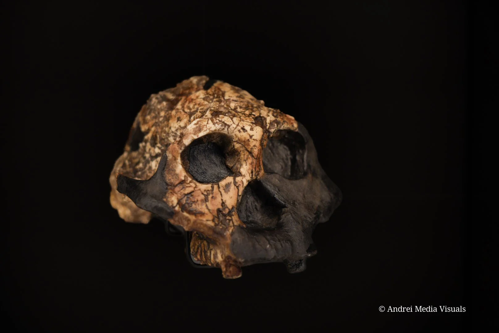 sample product 1 (63).jpg