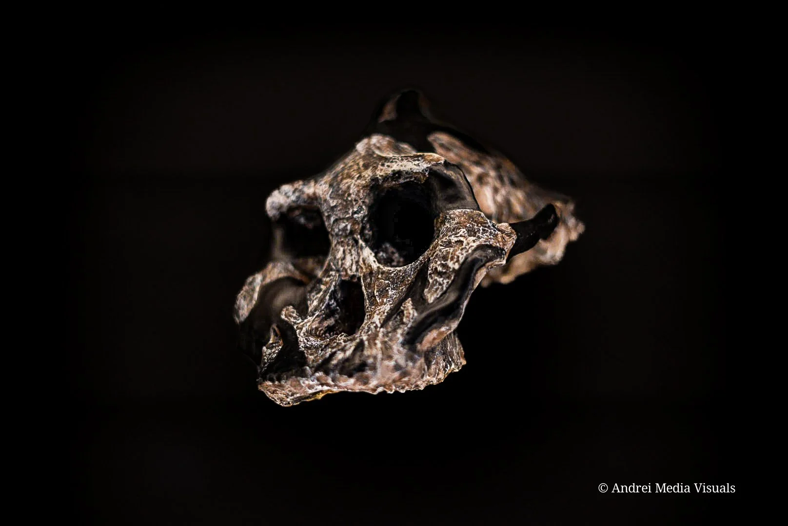 Fotografie in Prag – Fine Art, Museen &amp; Cineastische Straßenmomente