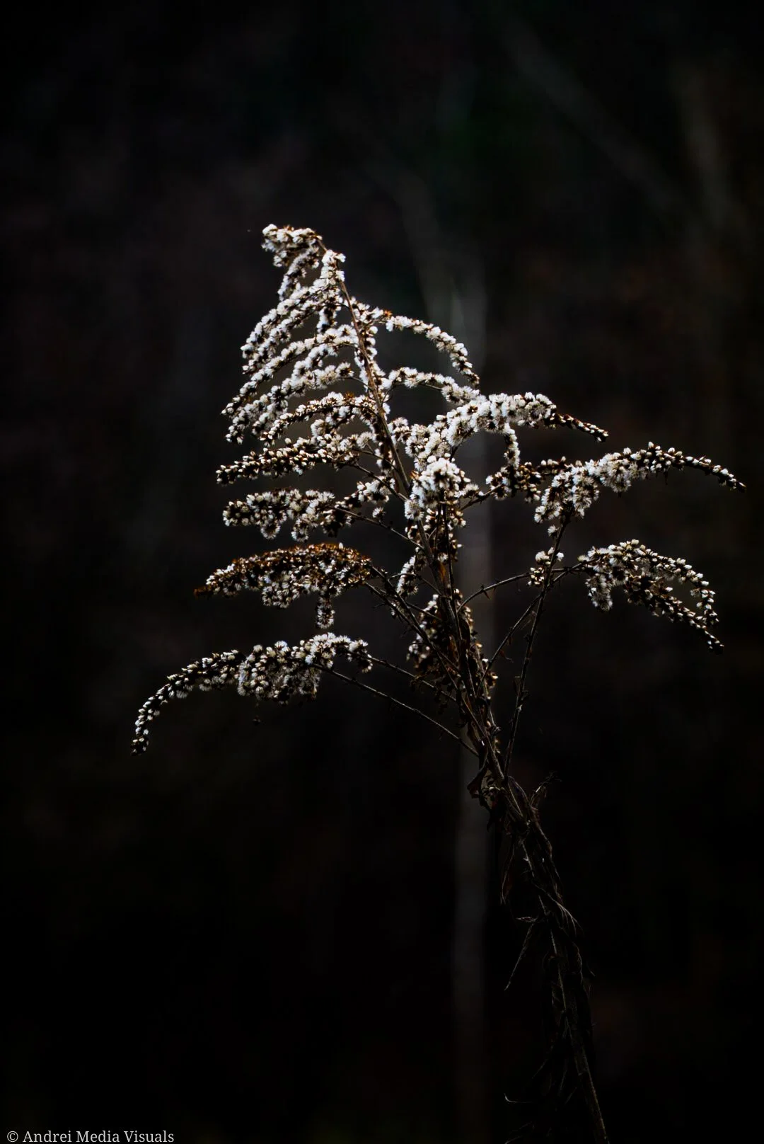 Nature & Travel Stories