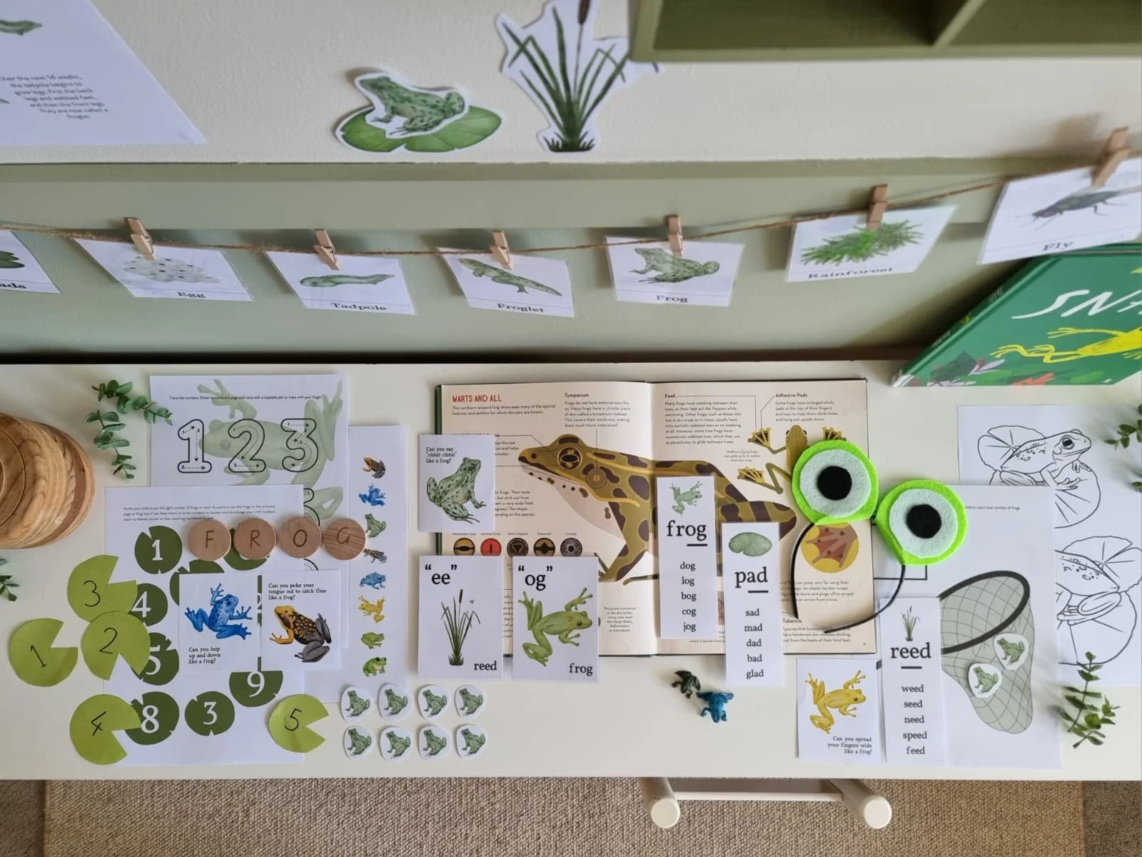 WhatsApp Image 2025-11-30 at 13.57.55_9a5ce82b.jpg