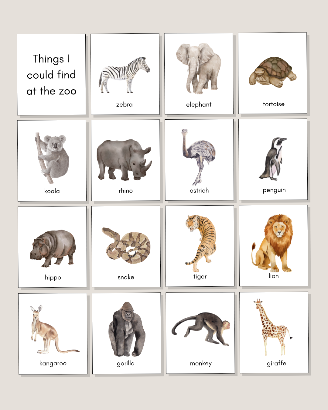 At the Zoo Flashcards