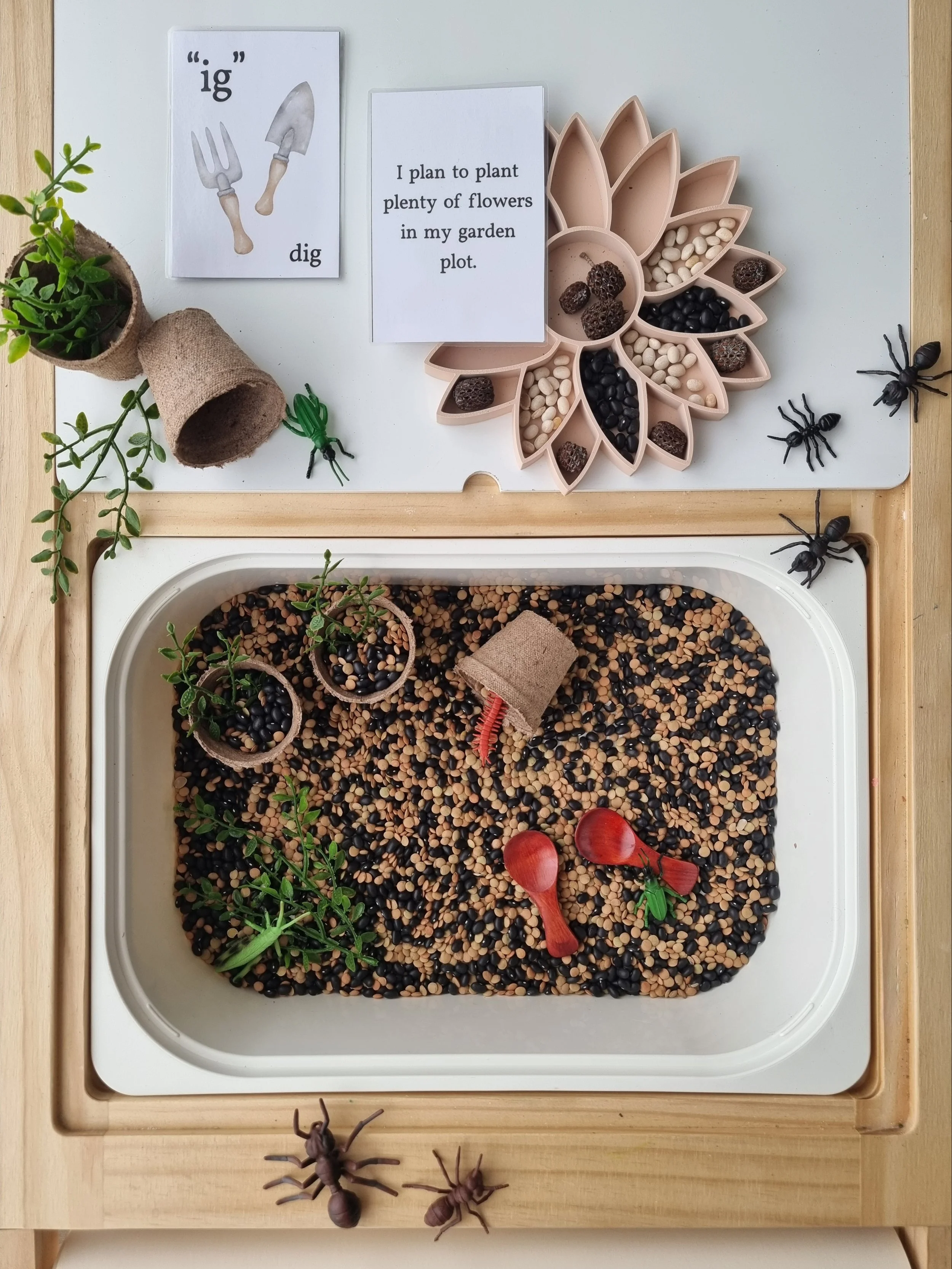 20251219_143435 (1).jpg