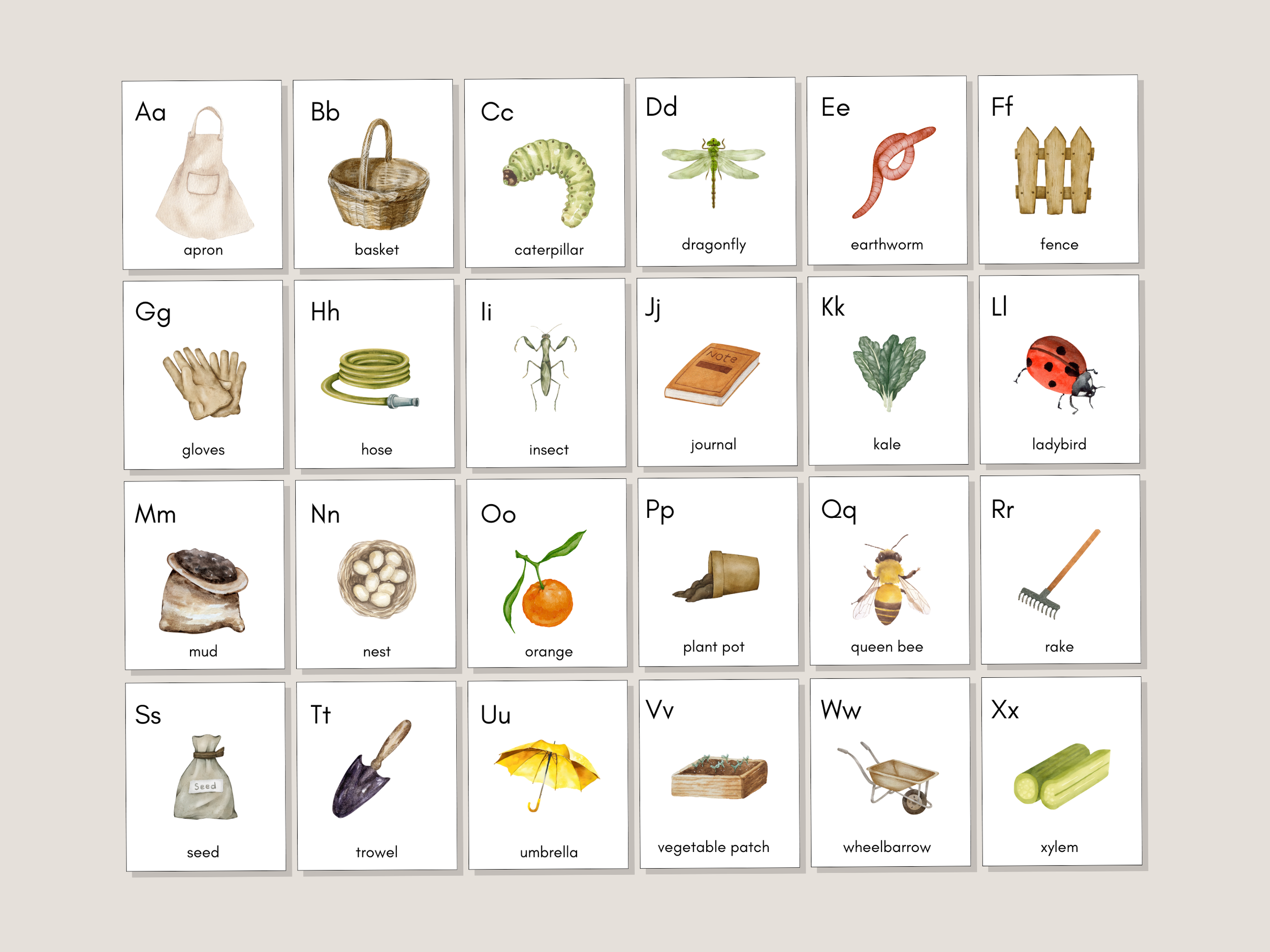 In the Garden Alphabet Flashcards