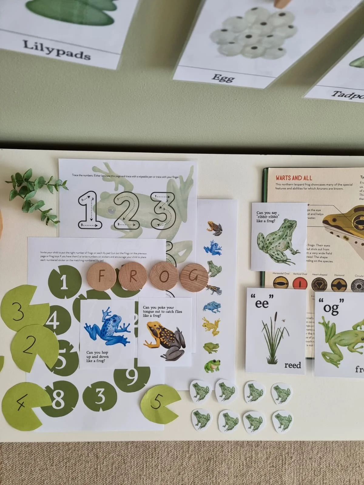 WhatsApp Image 2025-11-30 at 13.57.52_3ffbe0e2.jpg