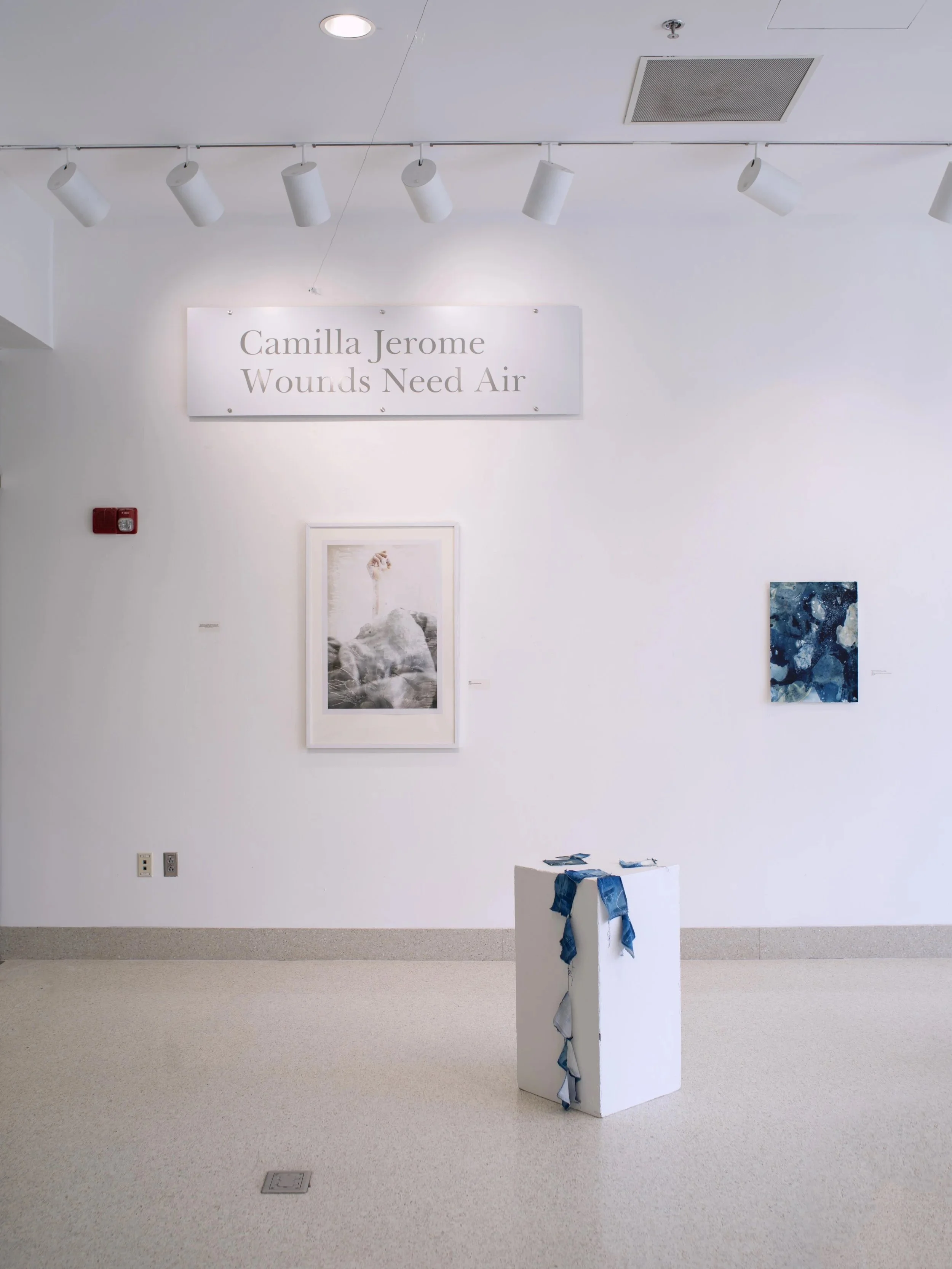 Art gallery installation of "Wounds Need Air" by Camilla Jerome.