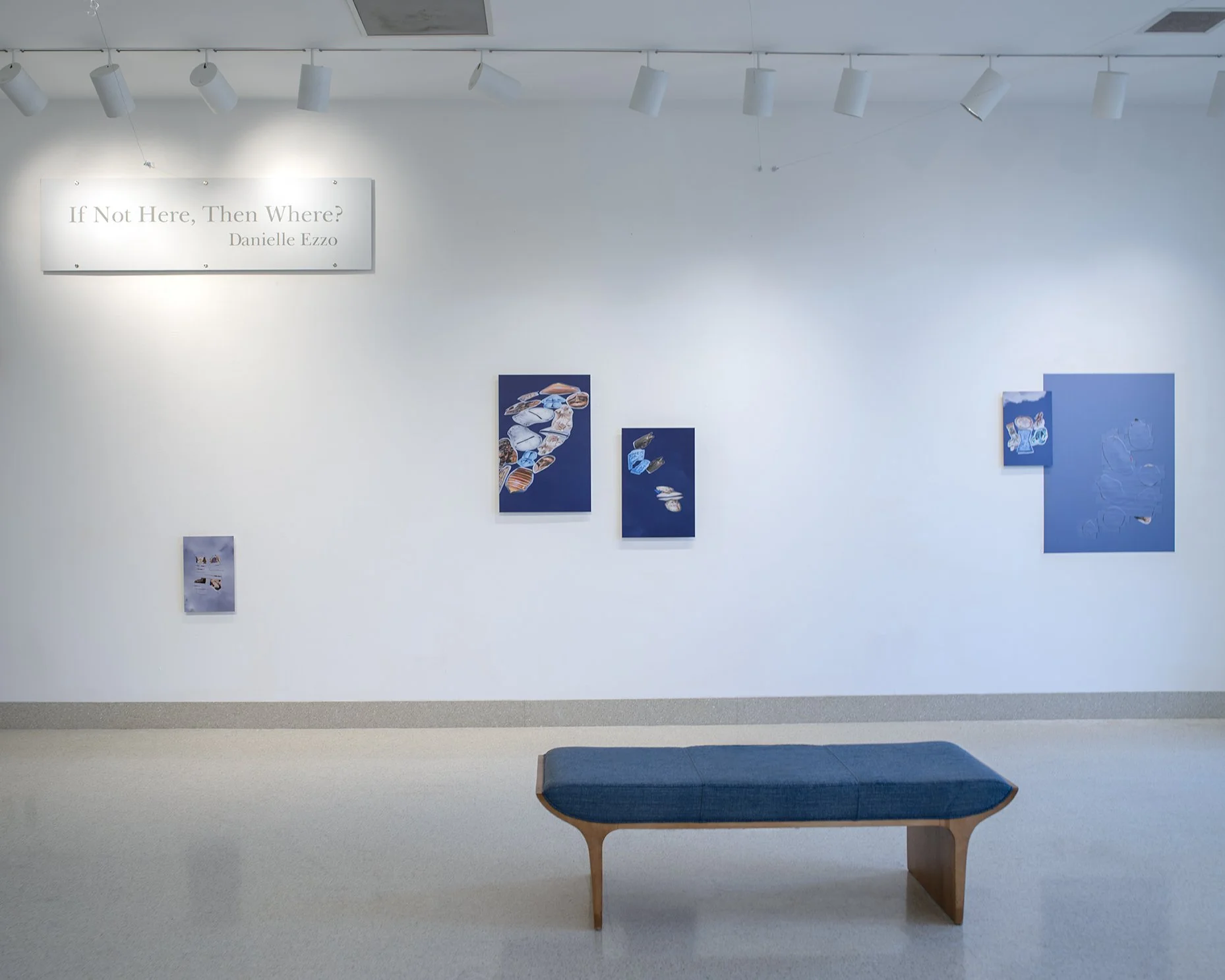 Art gallery installation of "If Not Here, Then Where?" by Danielle Ezzo.