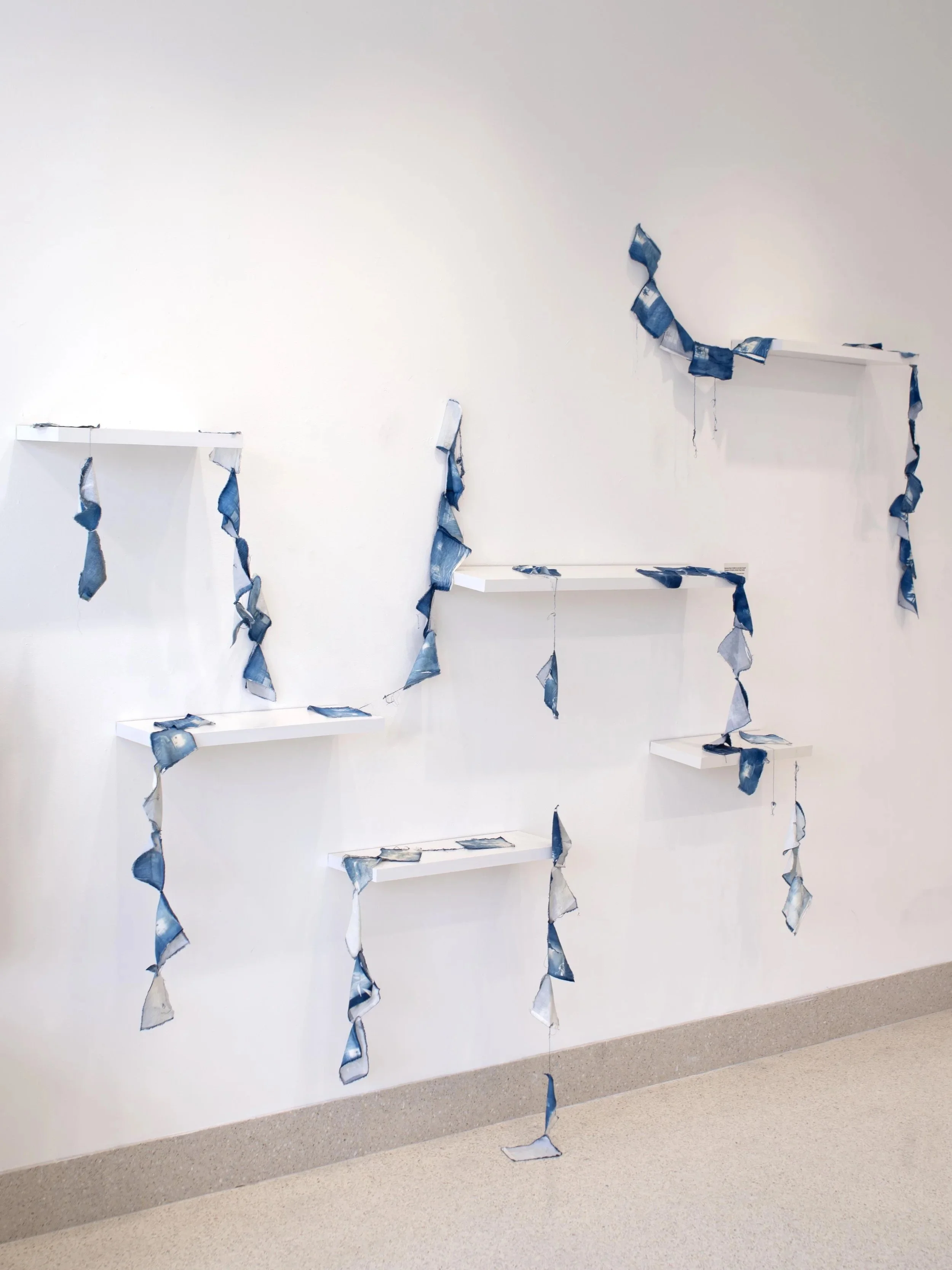 Art gallery installation of "Wounds Need Air" by Camilla Jerome of white shelves with cyanotype banner style fabric print strips.