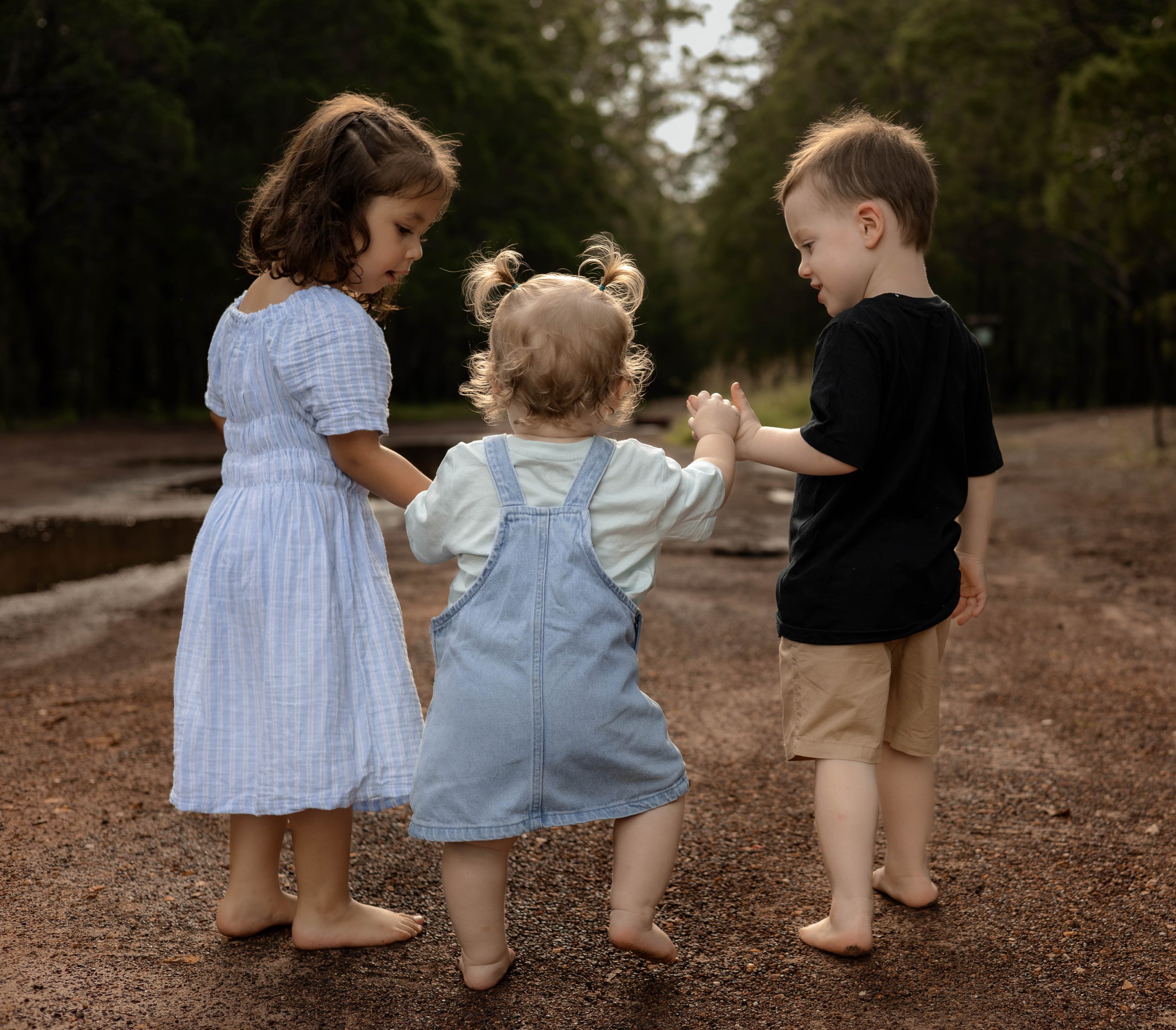 Snedden Family - Old Pine Forest 17.01.2026-15.jpg