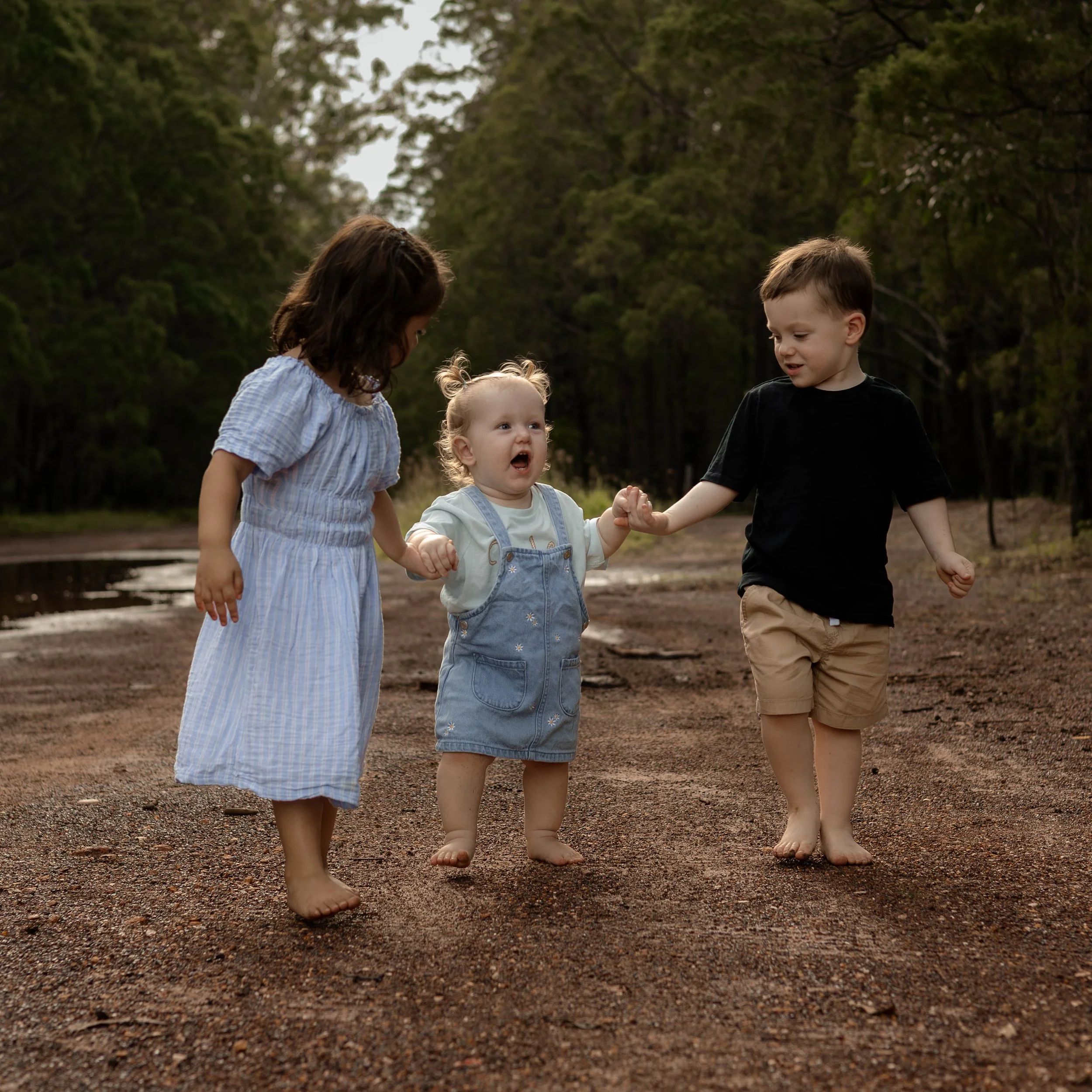 Snedden Family - Old Pine Forest 17.01.2026-22.jpg