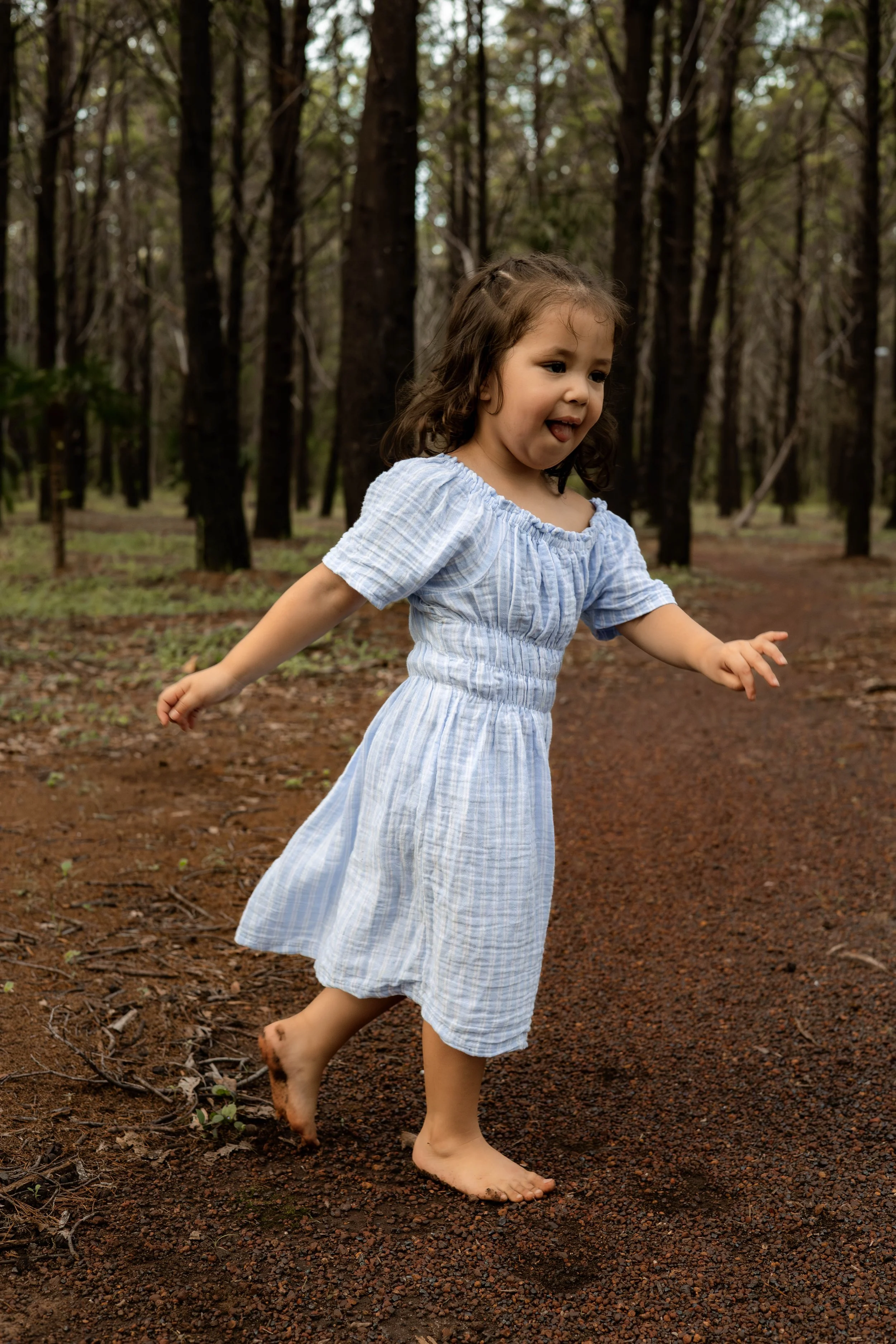 Snedden Family - Old Pine Forest 17.01.2026-66.jpg