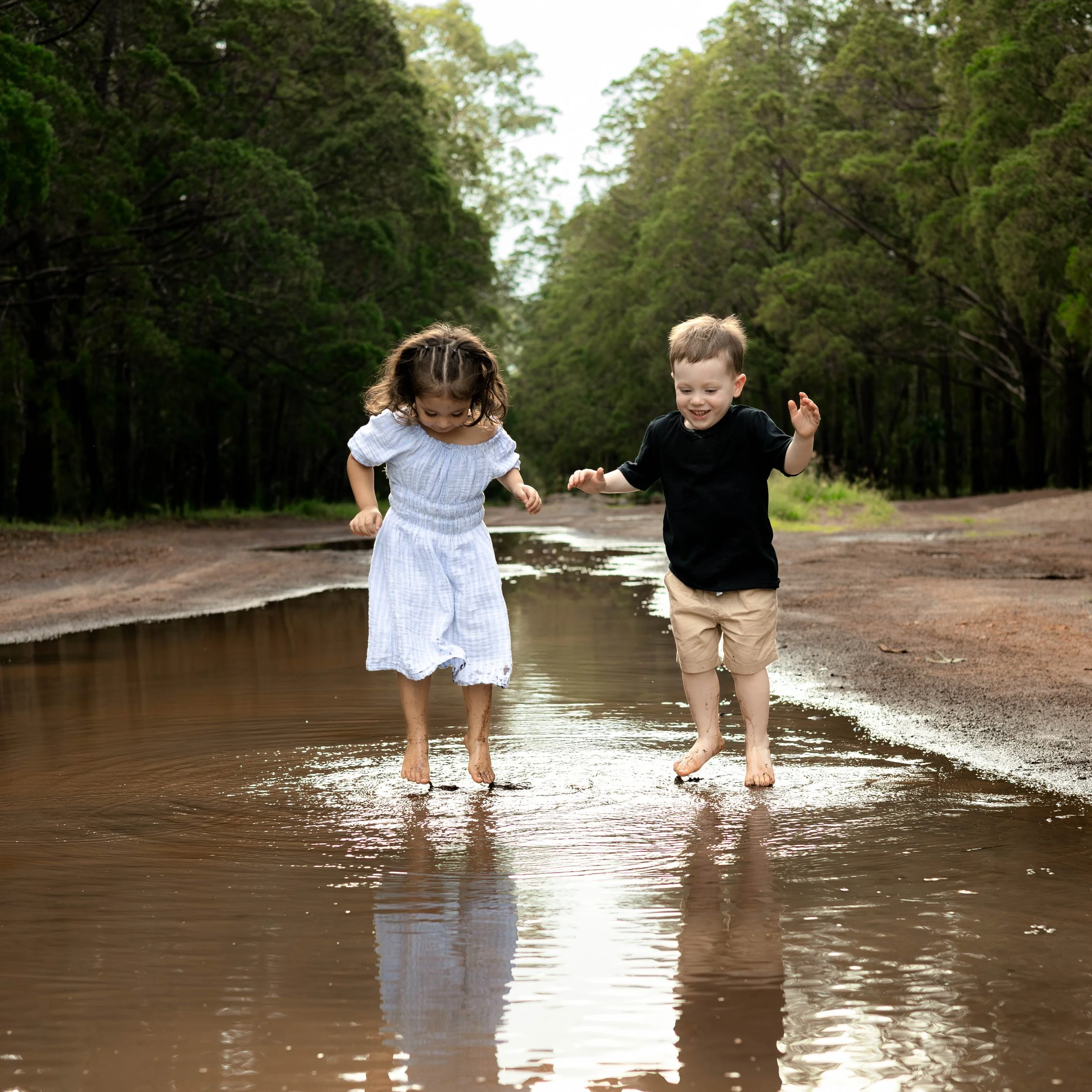 Snedden Family - Old Pine Forest 17.01.2026-82.jpg
