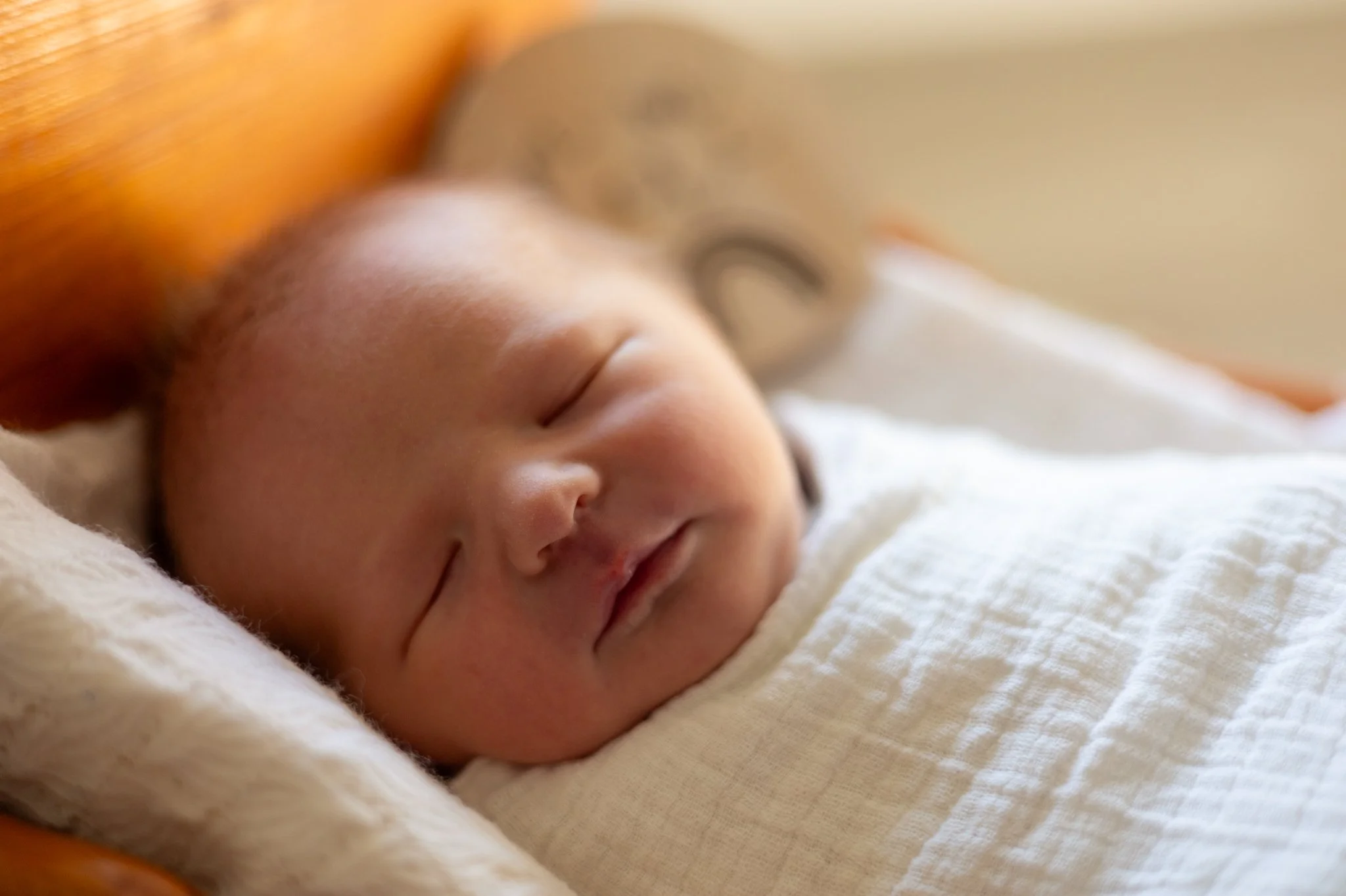 Lainey Dorothy Coates - 7th June 2025-20.jpg