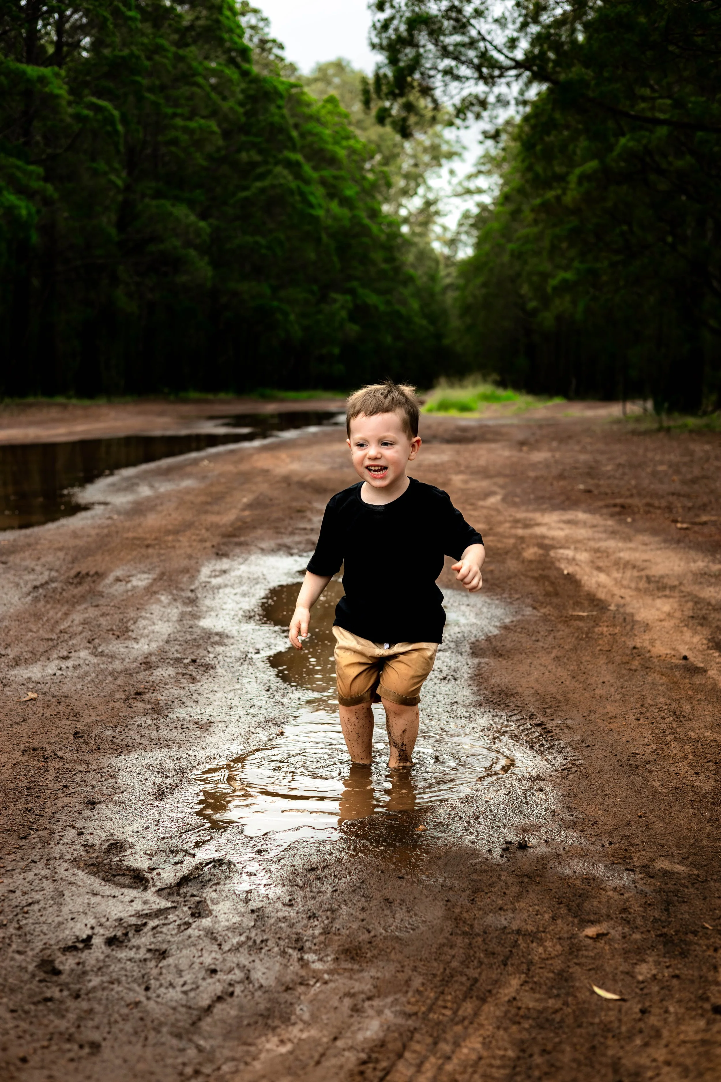 Snedden Family - Old Pine Forest 17.01.2026-101.jpg