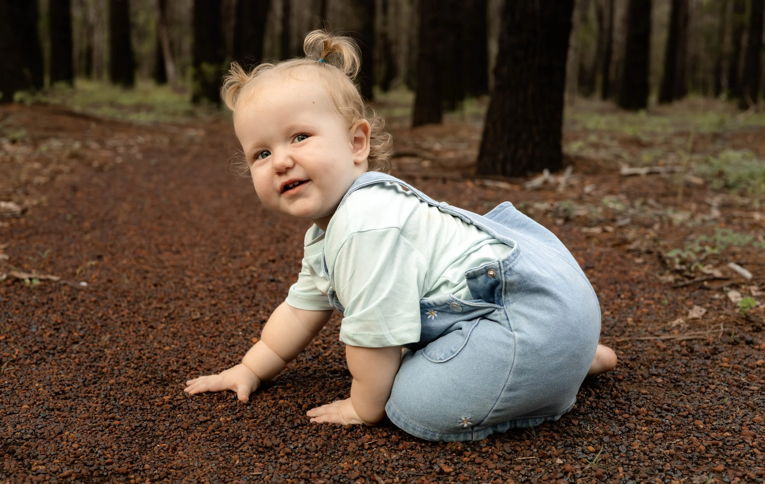 Snedden Family - Old Pine Forest 17.01.2026-77.jpg