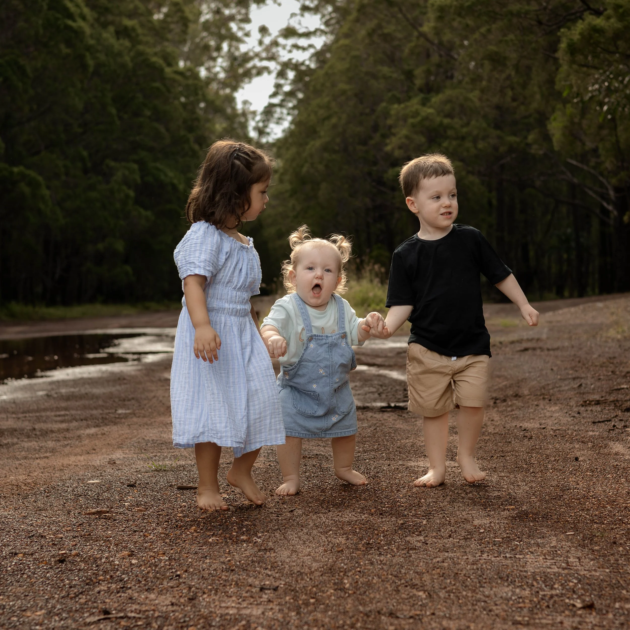 Snedden Family - Old Pine Forest 17.01.2026-20.jpg