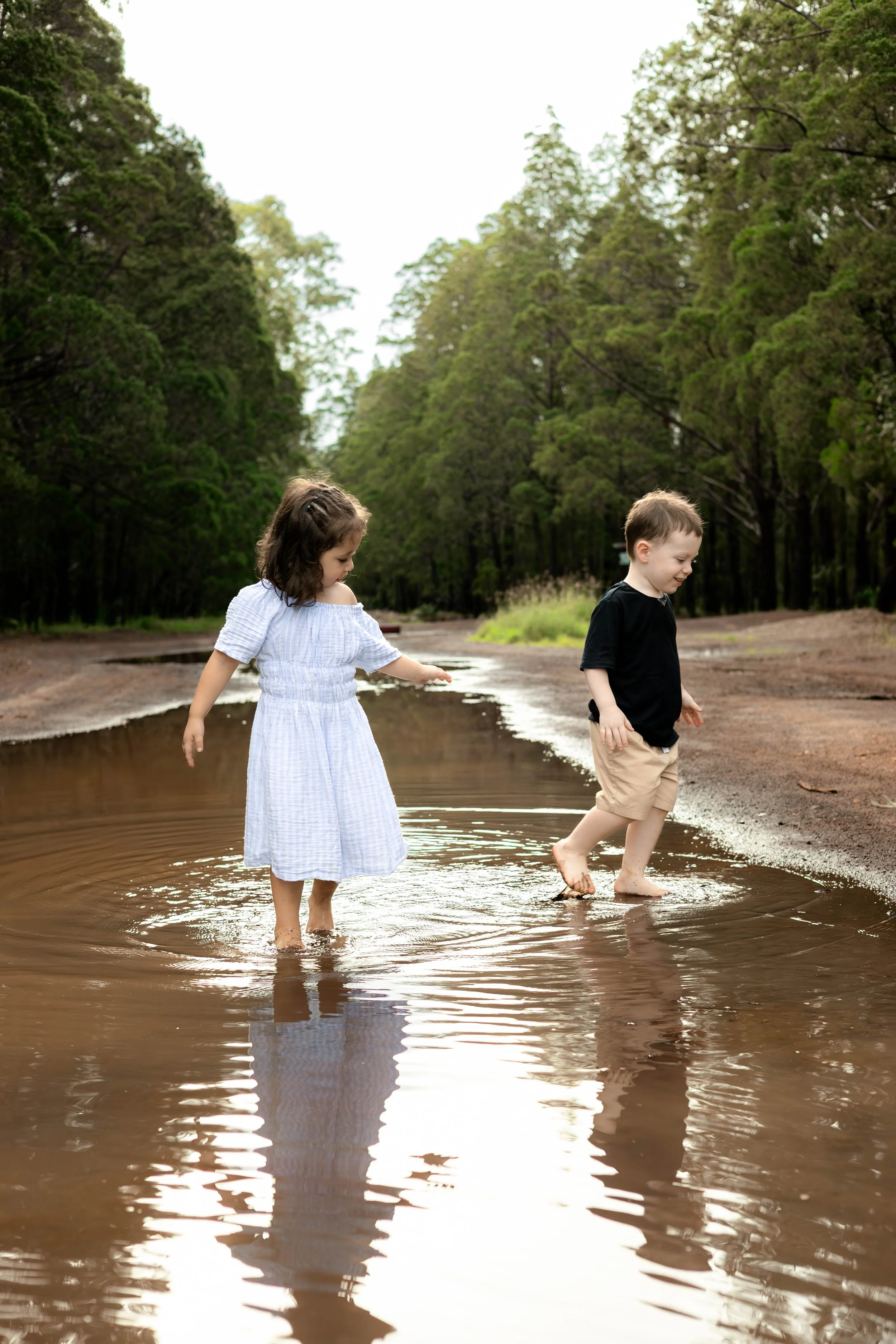 Snedden Family - Old Pine Forest 17.01.2026-79.jpg
