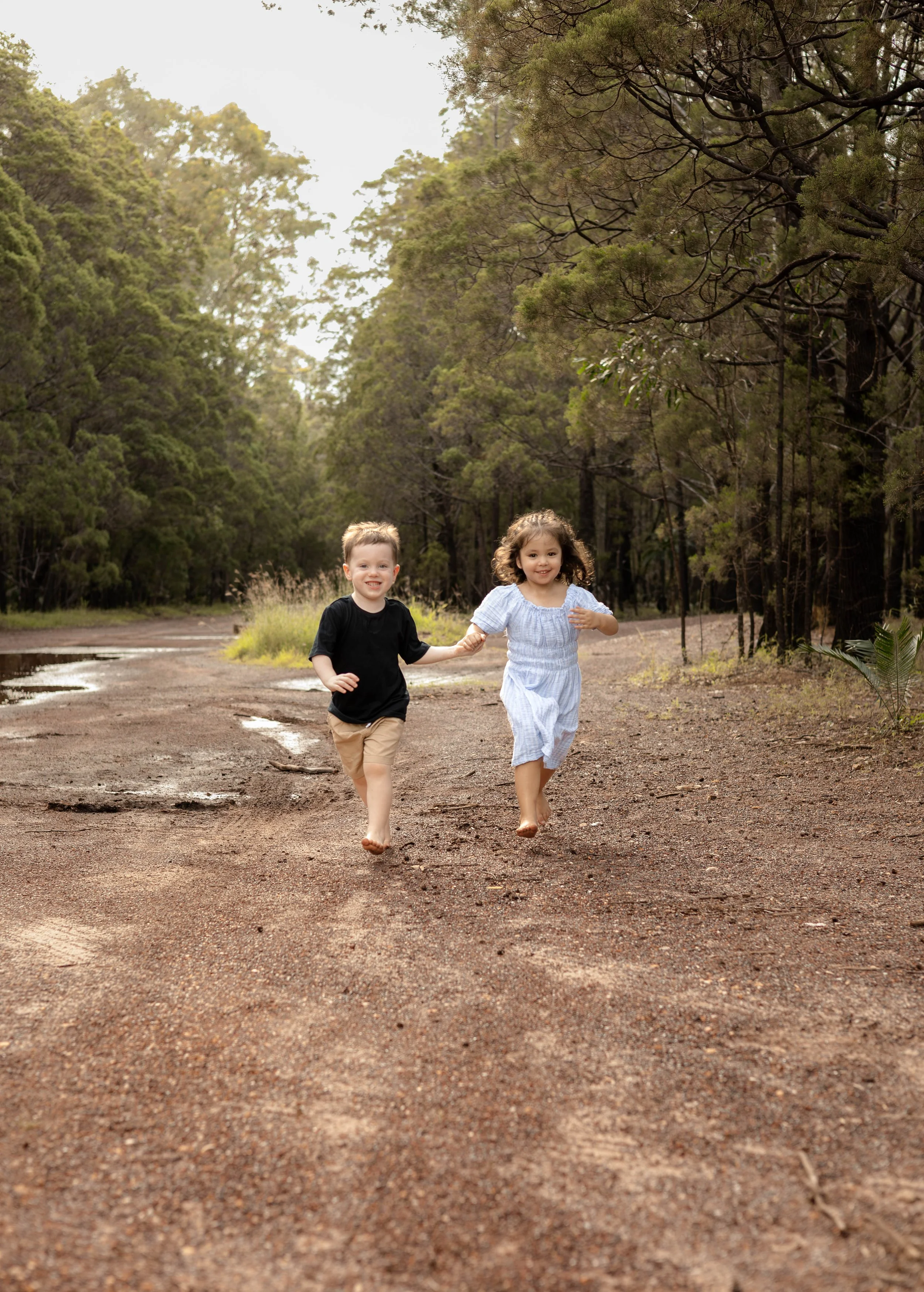 Snedden Family - Old Pine Forest 17.01.2026-11.jpg