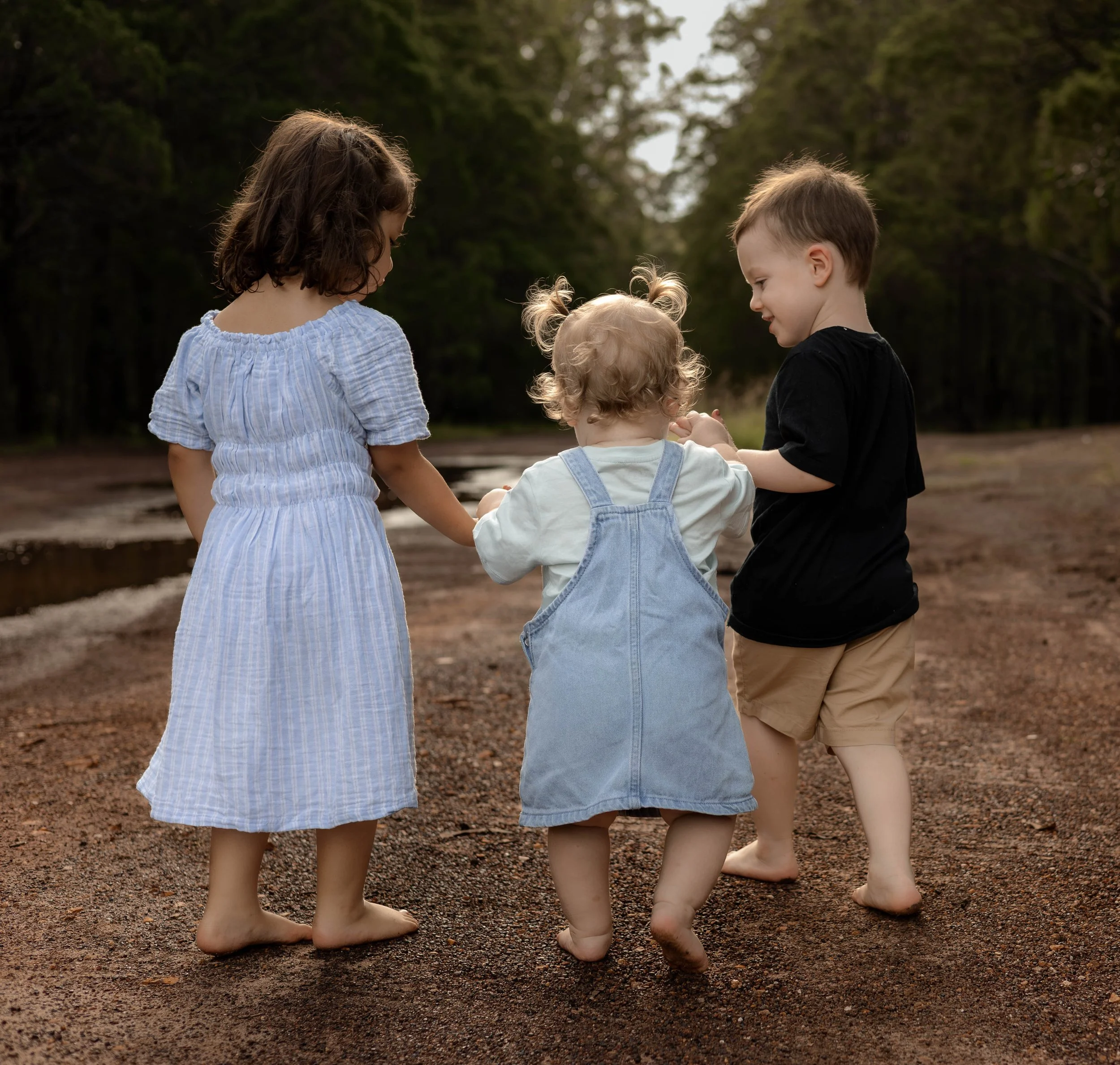 Snedden Family - Old Pine Forest 17.01.2026-17.jpg